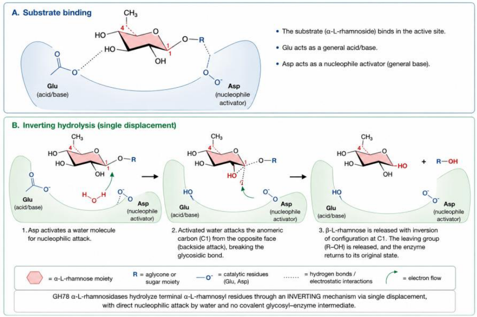 Preprints 216367 g001