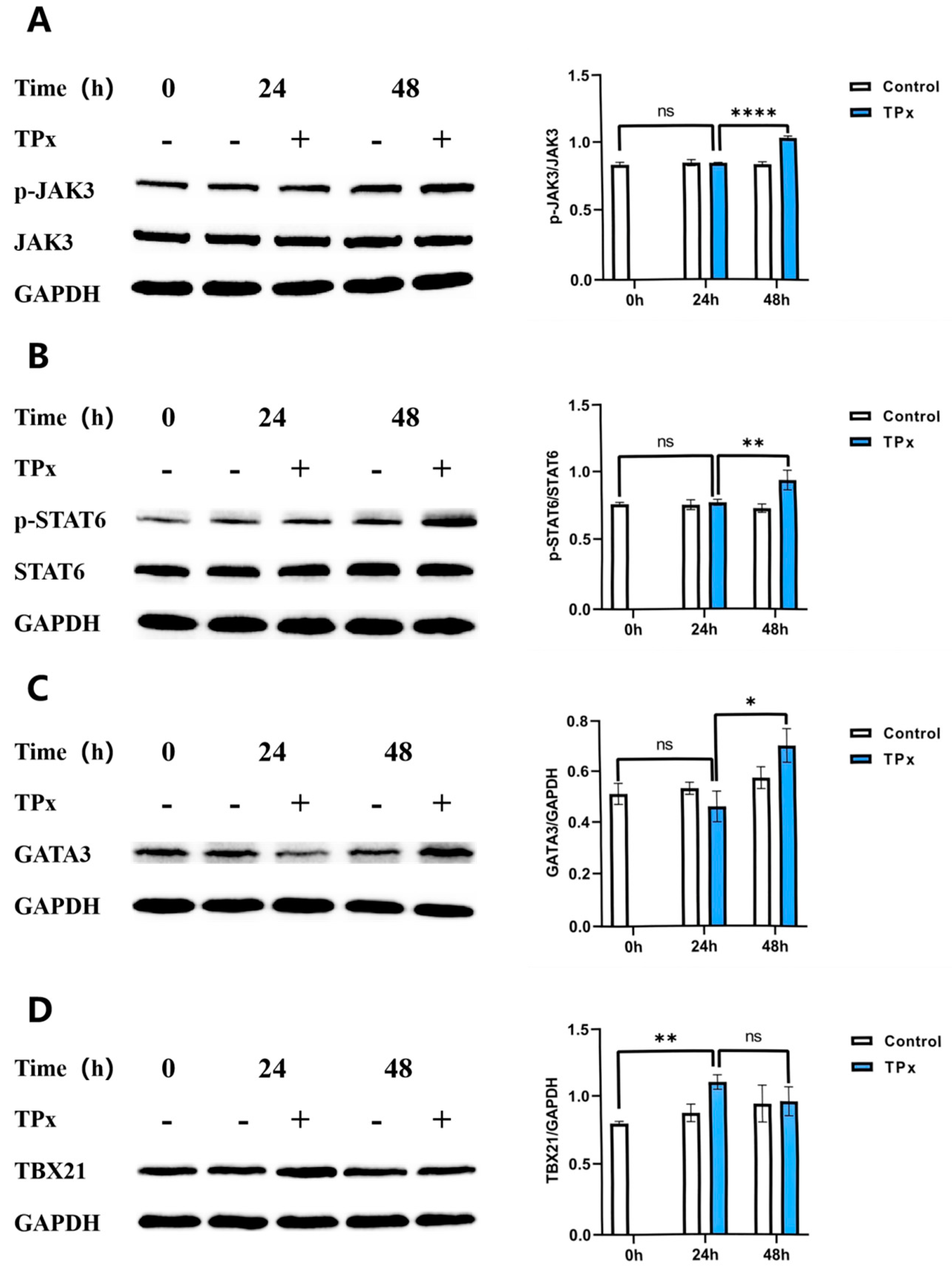Preprints 149153 g006
