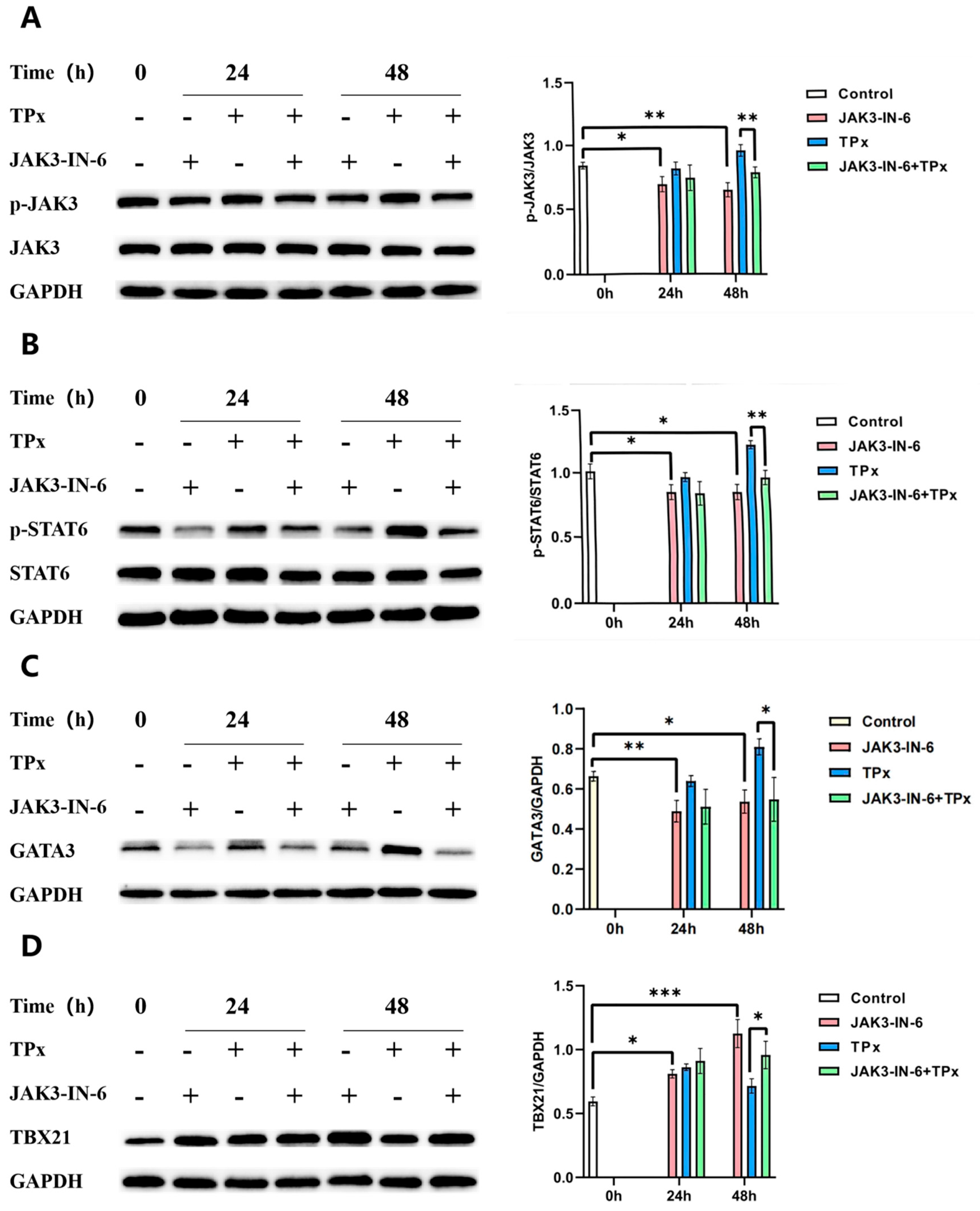 Preprints 149153 g007