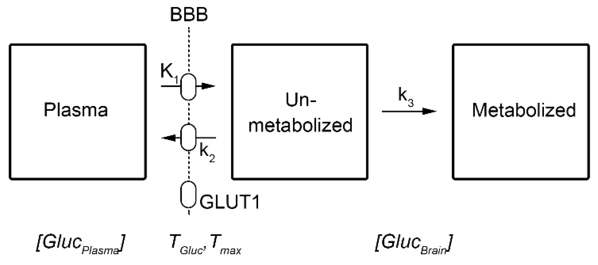 Preprints 190932 g001