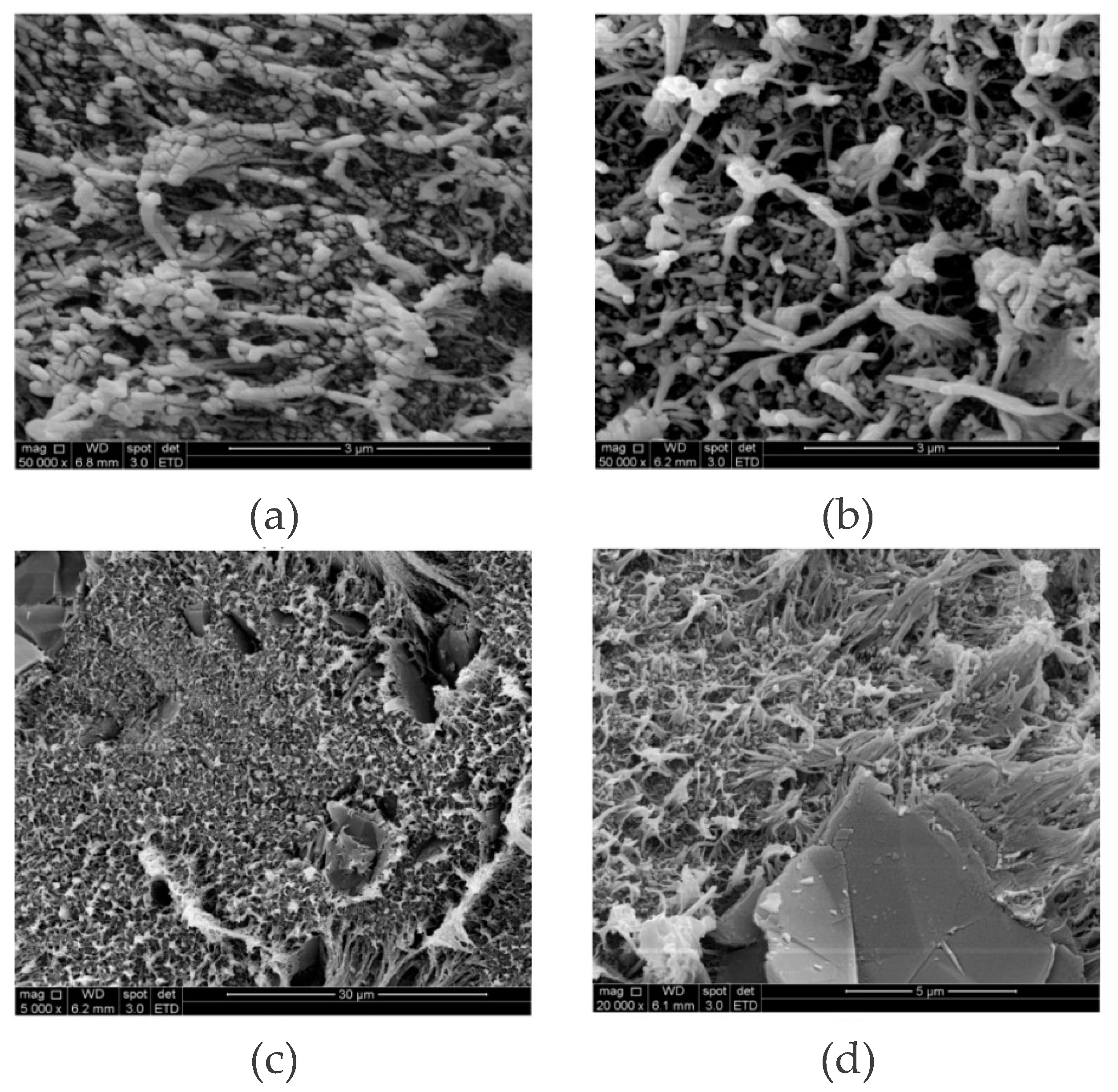 Preprints 139059 g004