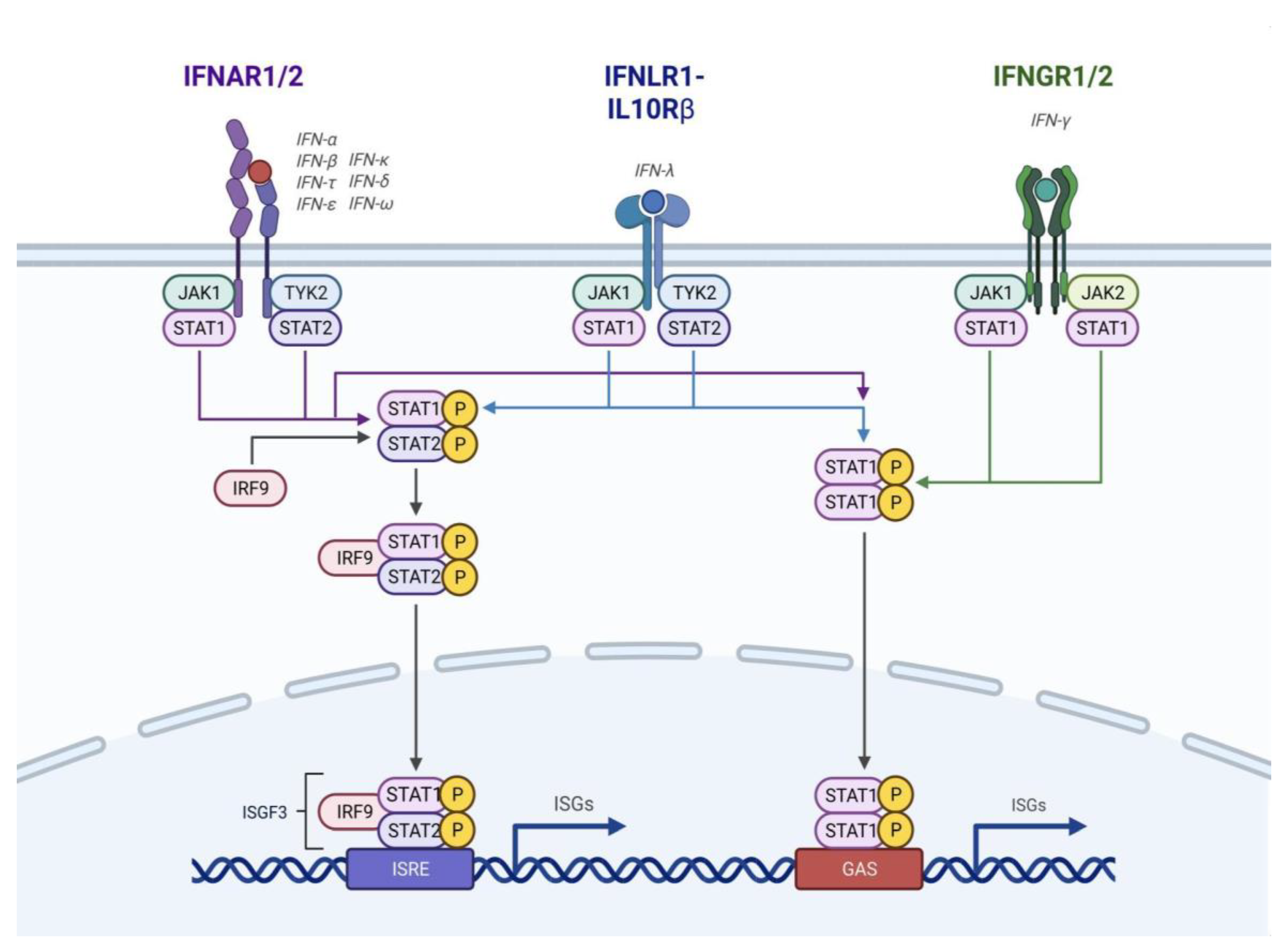 Preprints 150924 g002