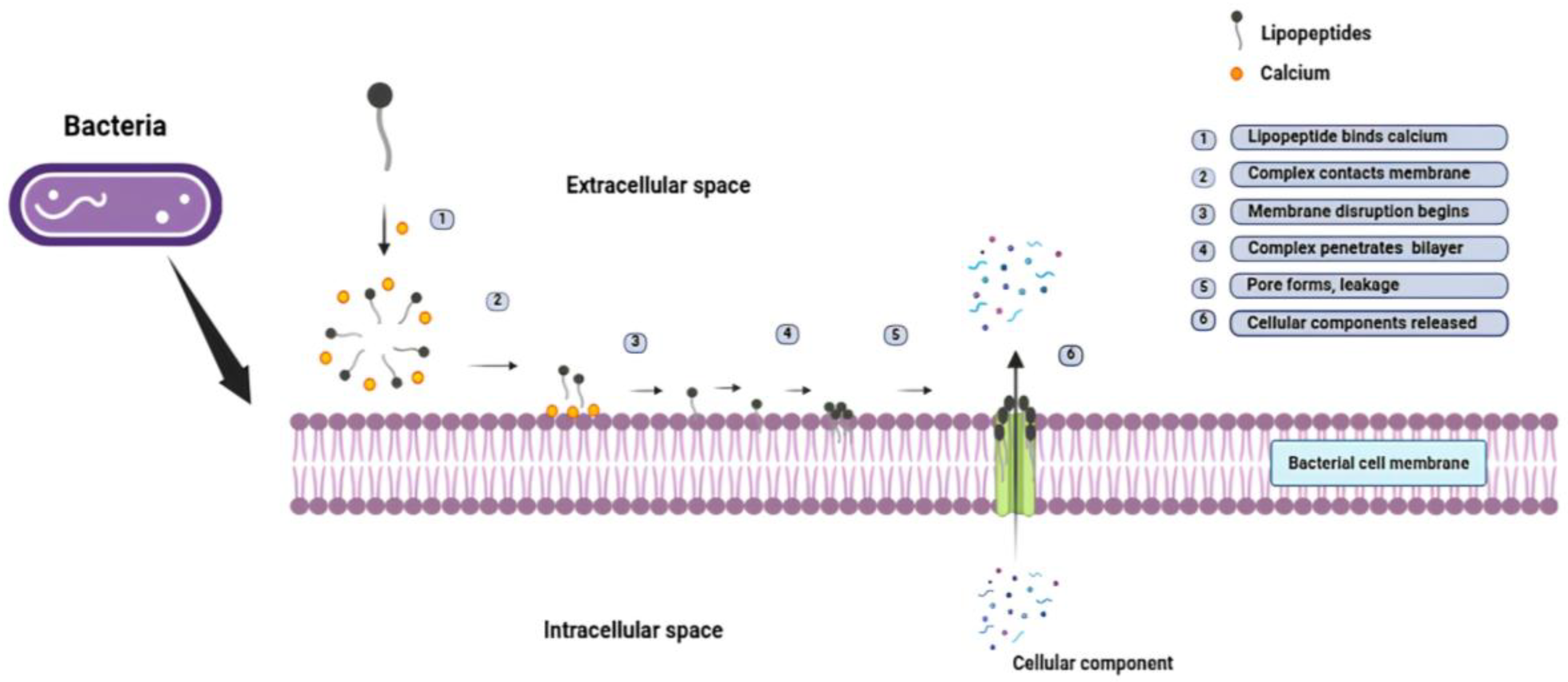 Preprints 176067 g006
