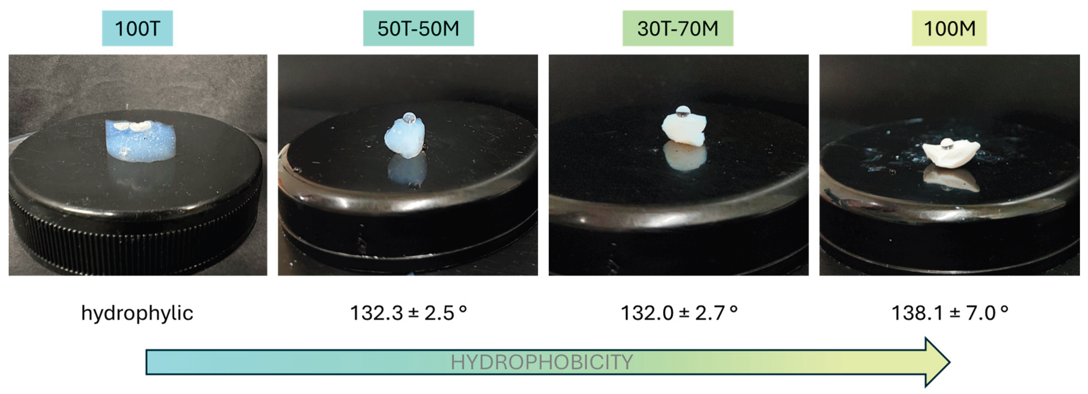 Preprints 161079 g003