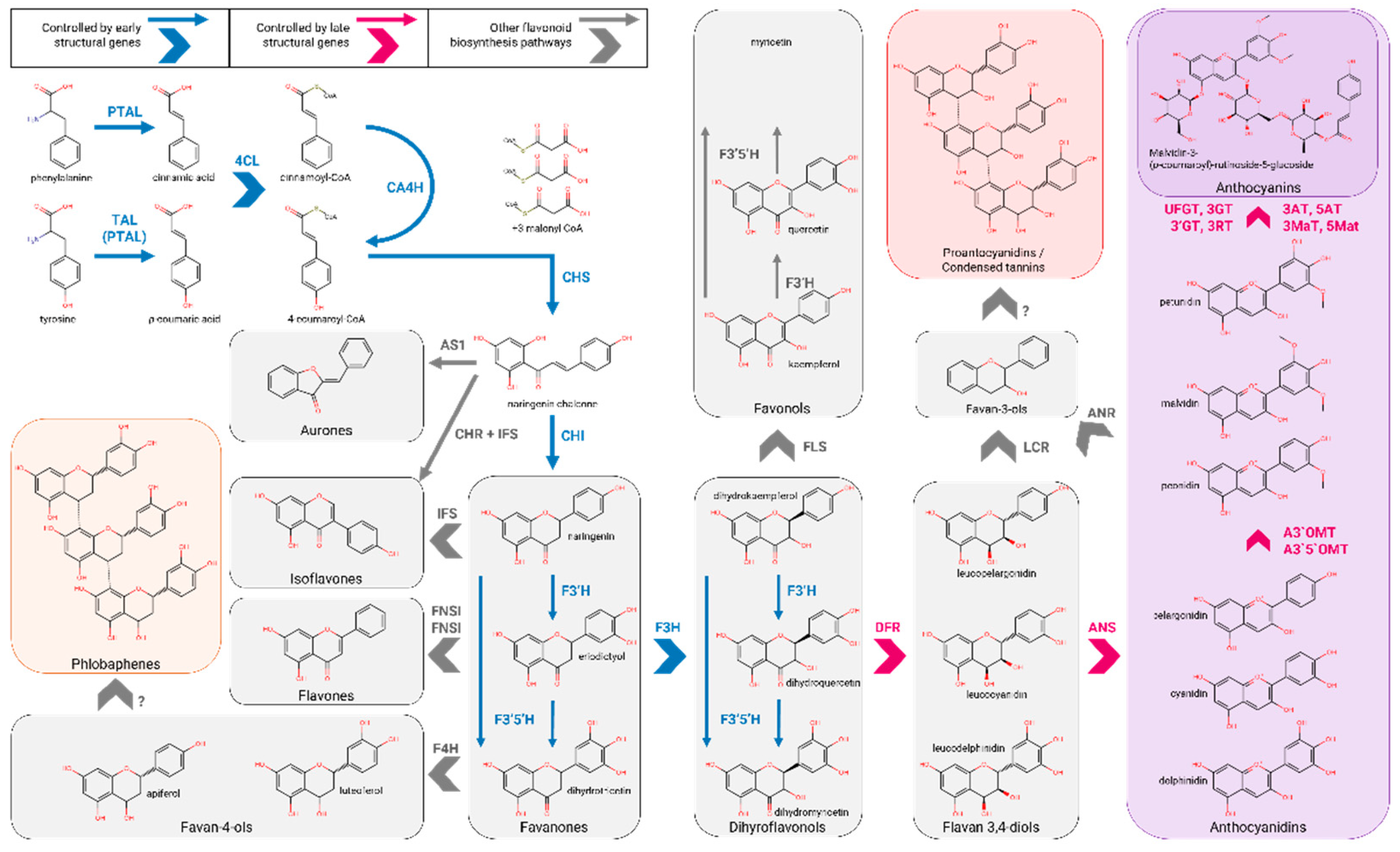 Preprints 142224 g001