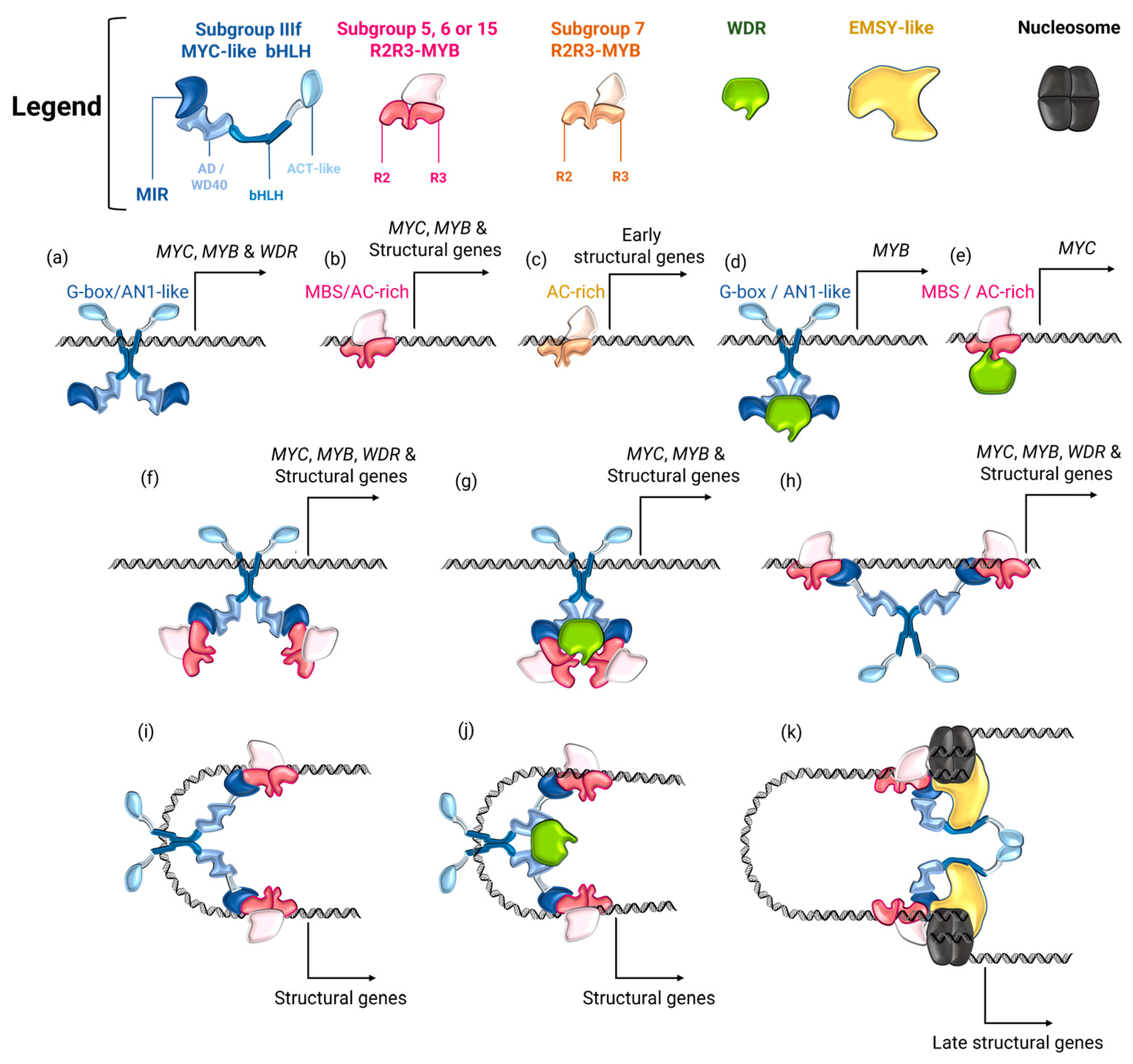 Preprints 142224 g002