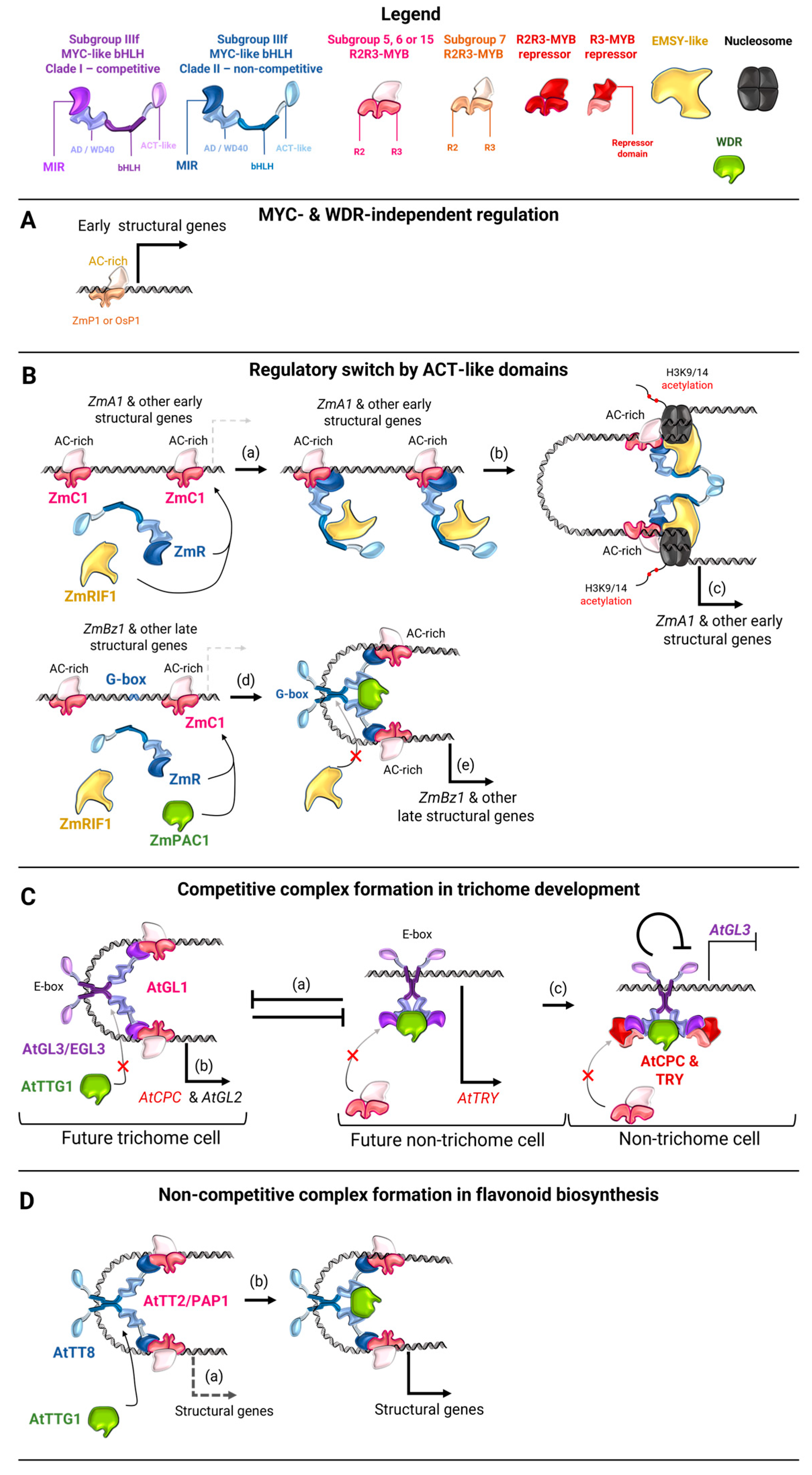 Preprints 142224 g003a