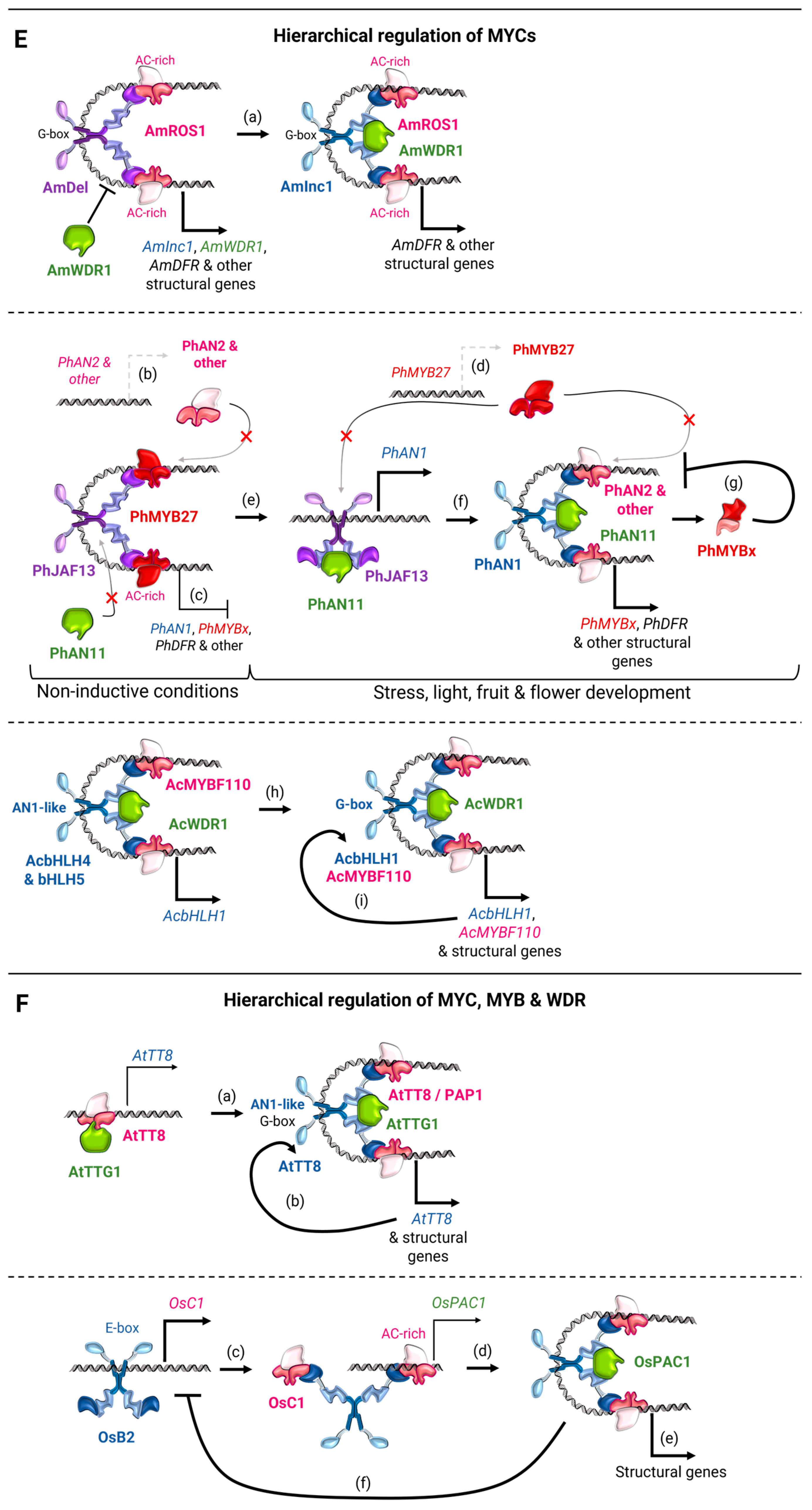 Preprints 142224 g003b
