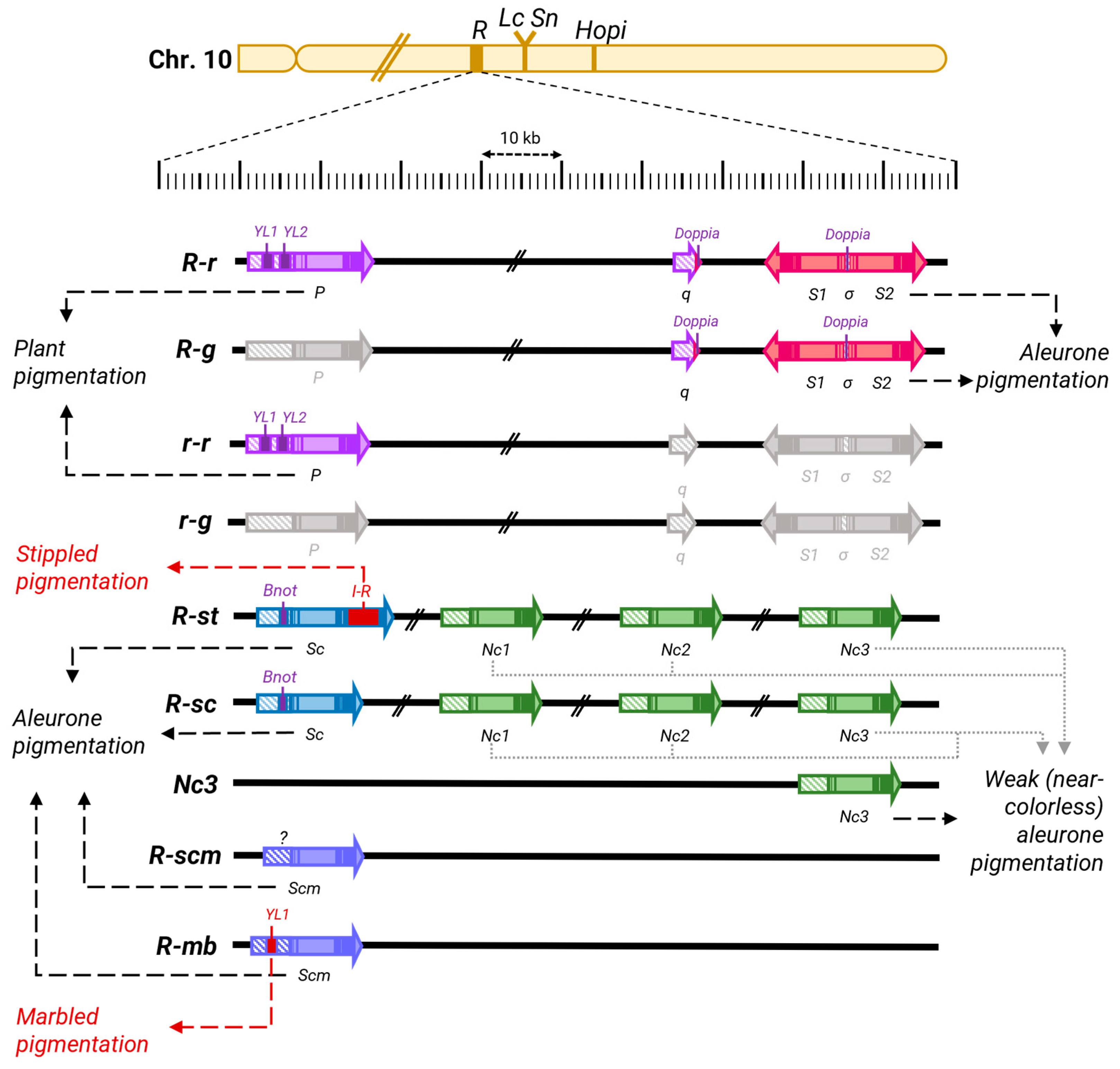 Preprints 142224 g004