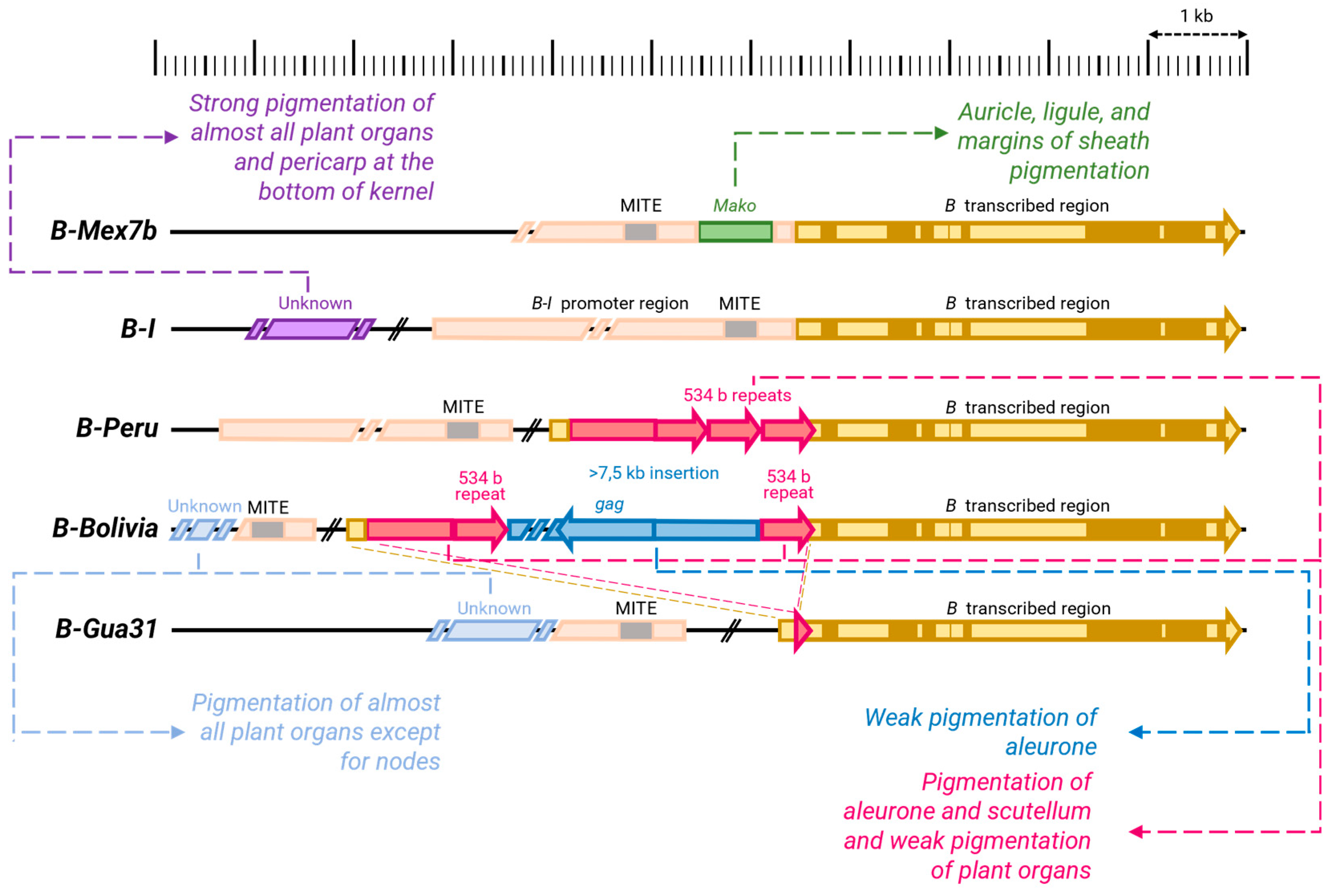 Preprints 142224 g005