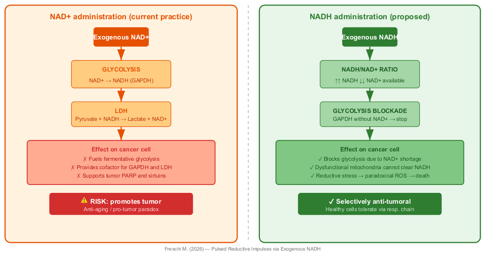 Preprints 209070 g001