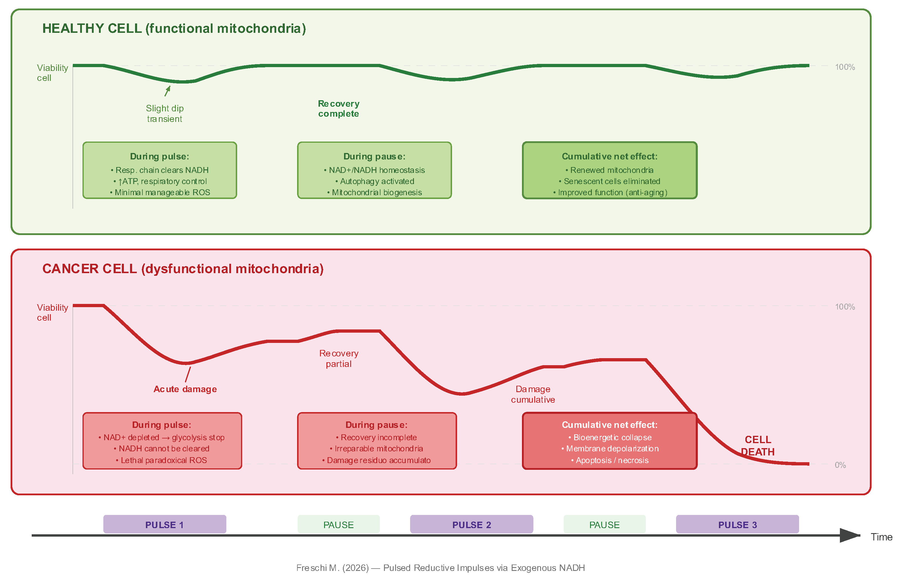 Preprints 209070 g002