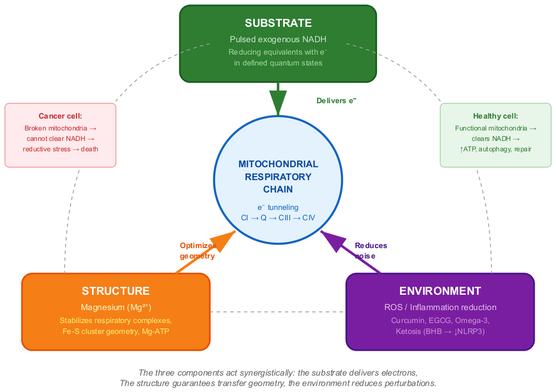 Preprints 209070 g003