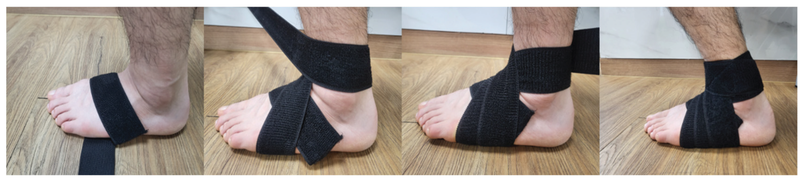 Preprints 167310 g002