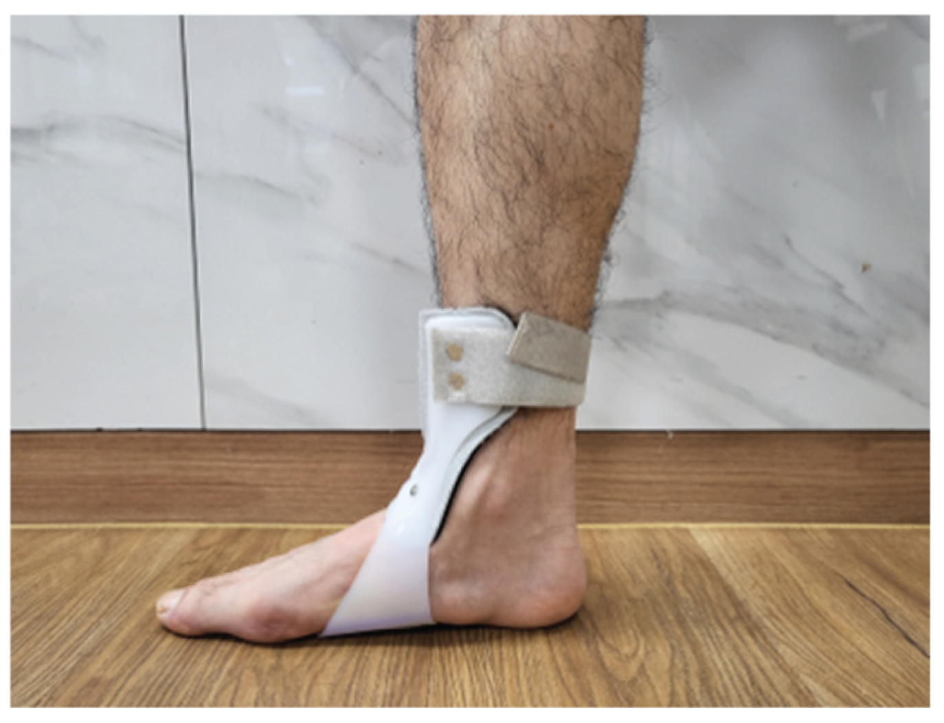 Preprints 167310 g003