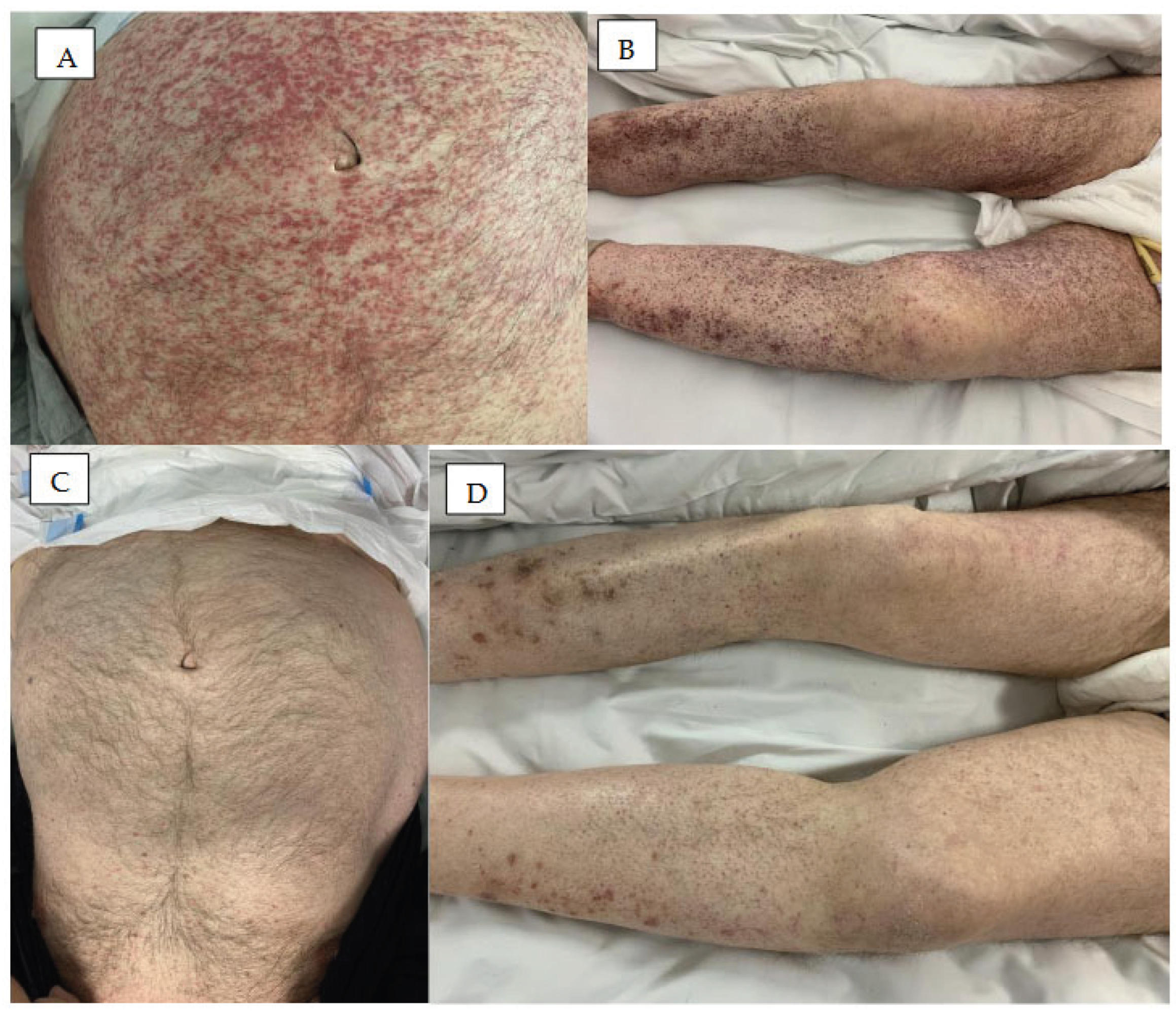 Preprints 192419 g002