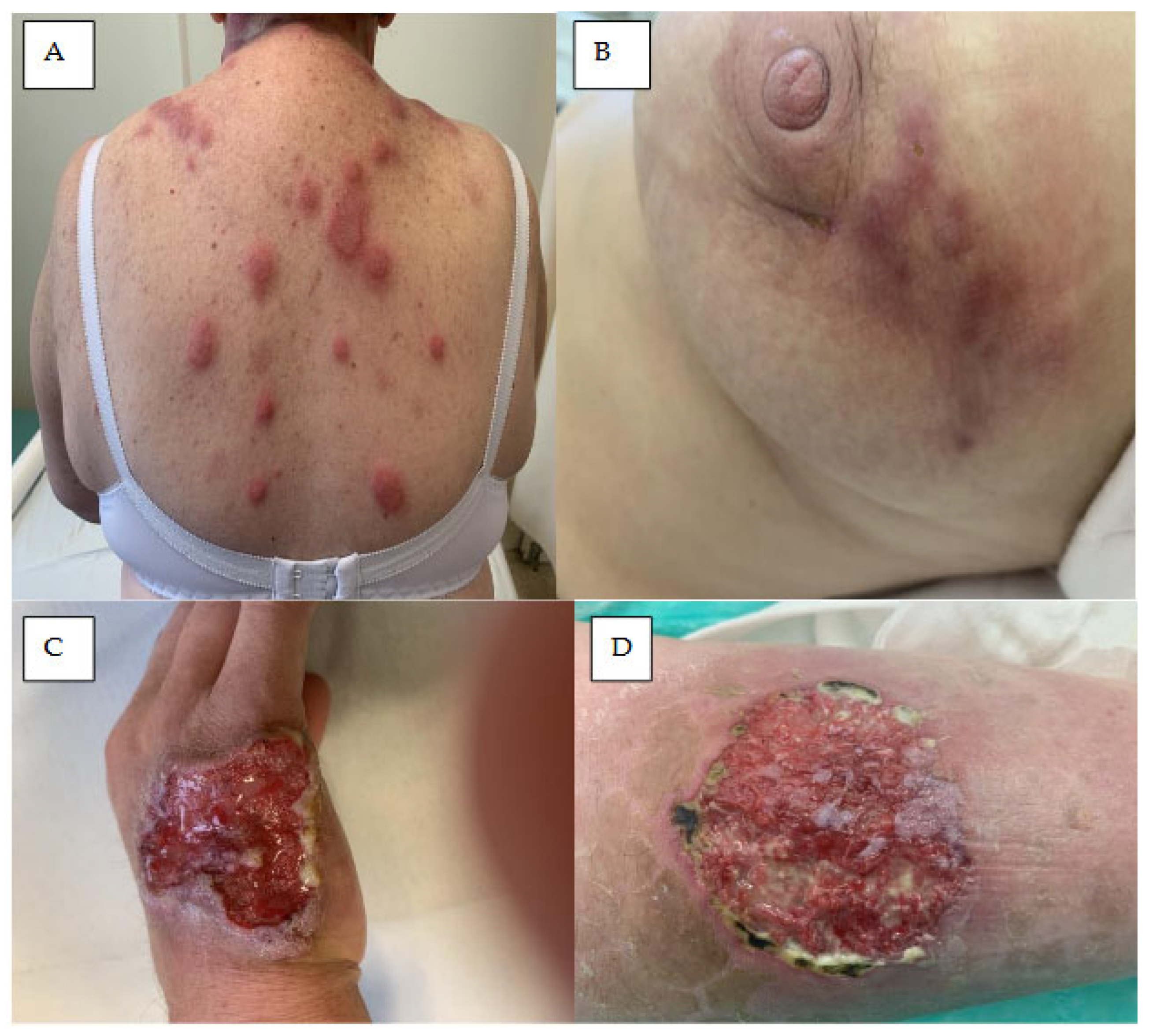 Preprints 192419 g004