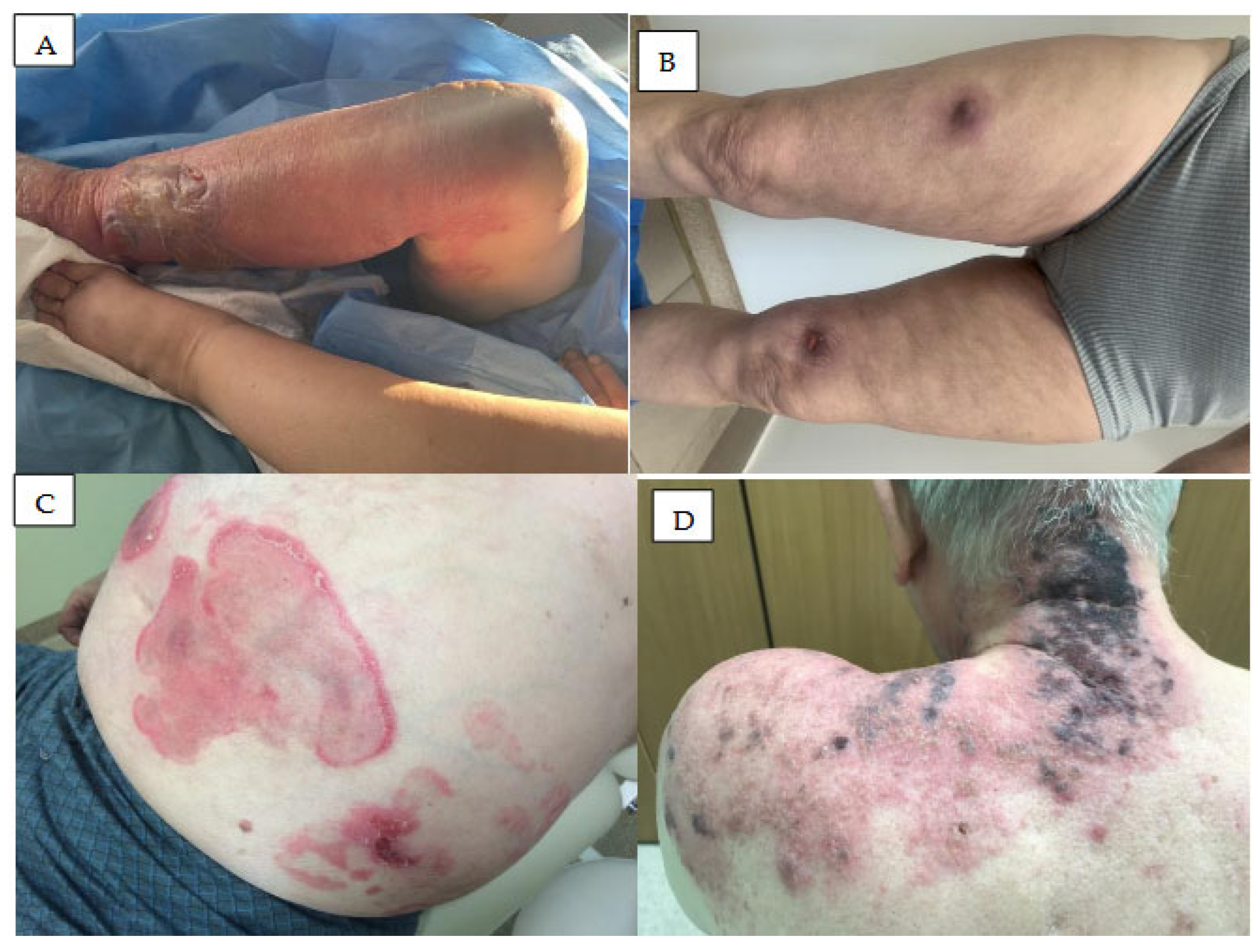 Preprints 192419 g005