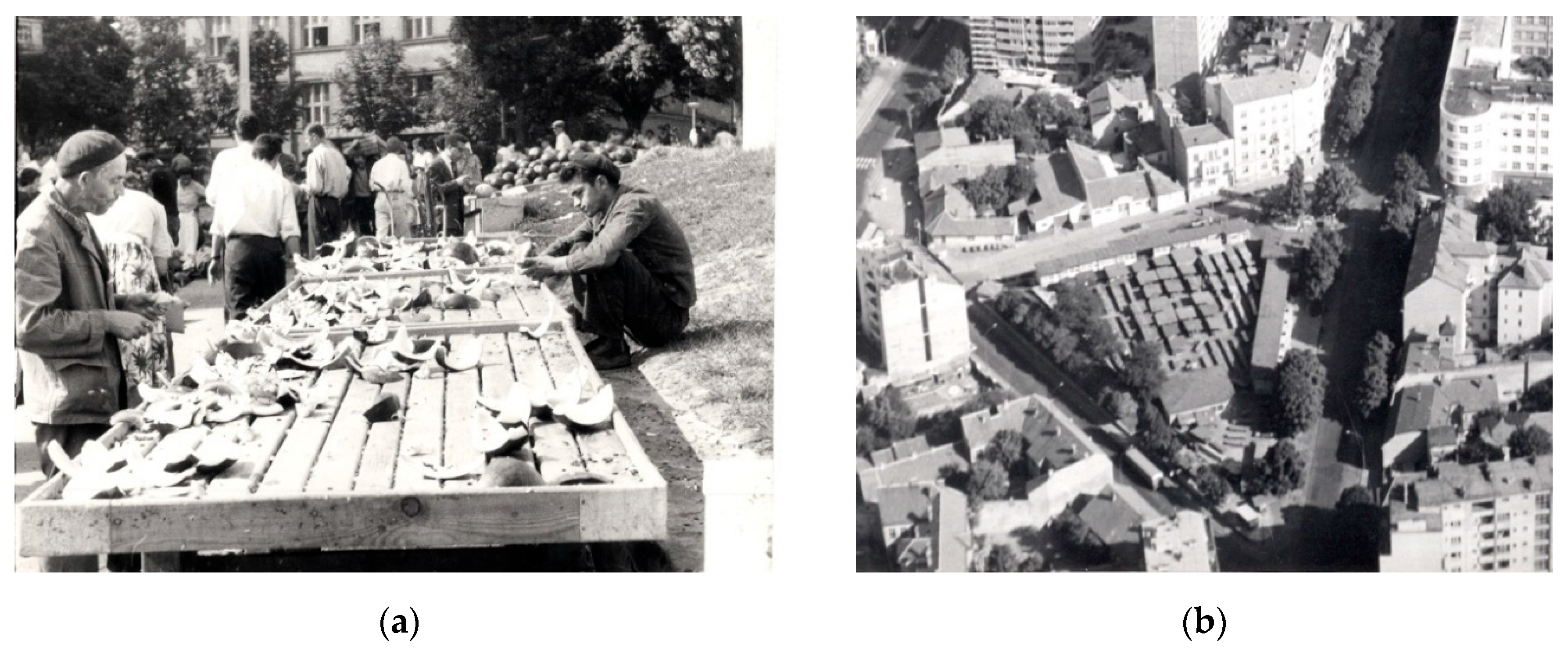 Preprints 191484 g002