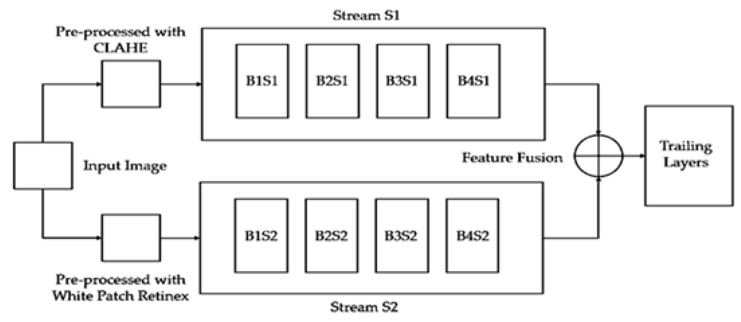 Preprints 108342 g001
