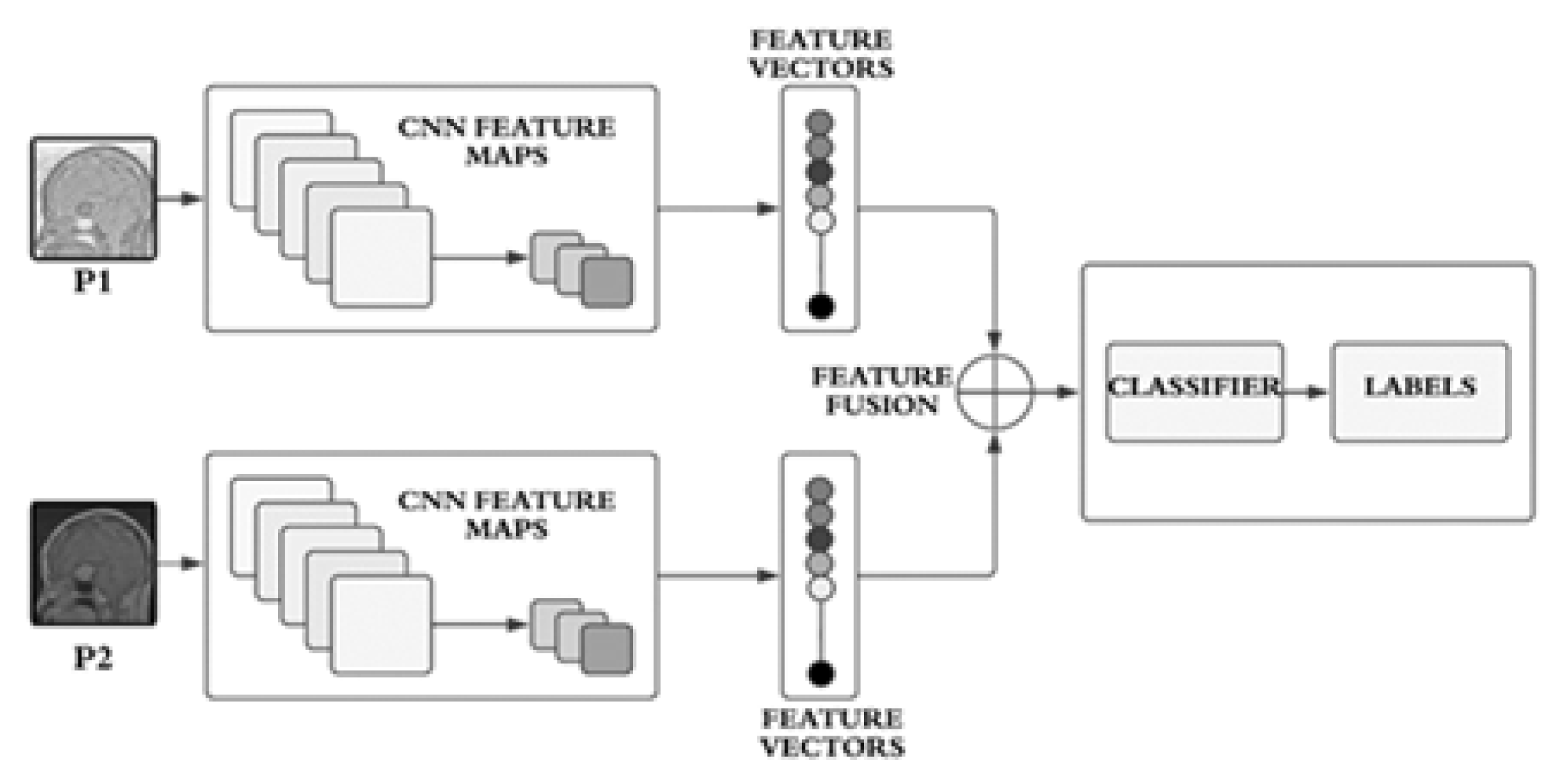 Preprints 108342 g002