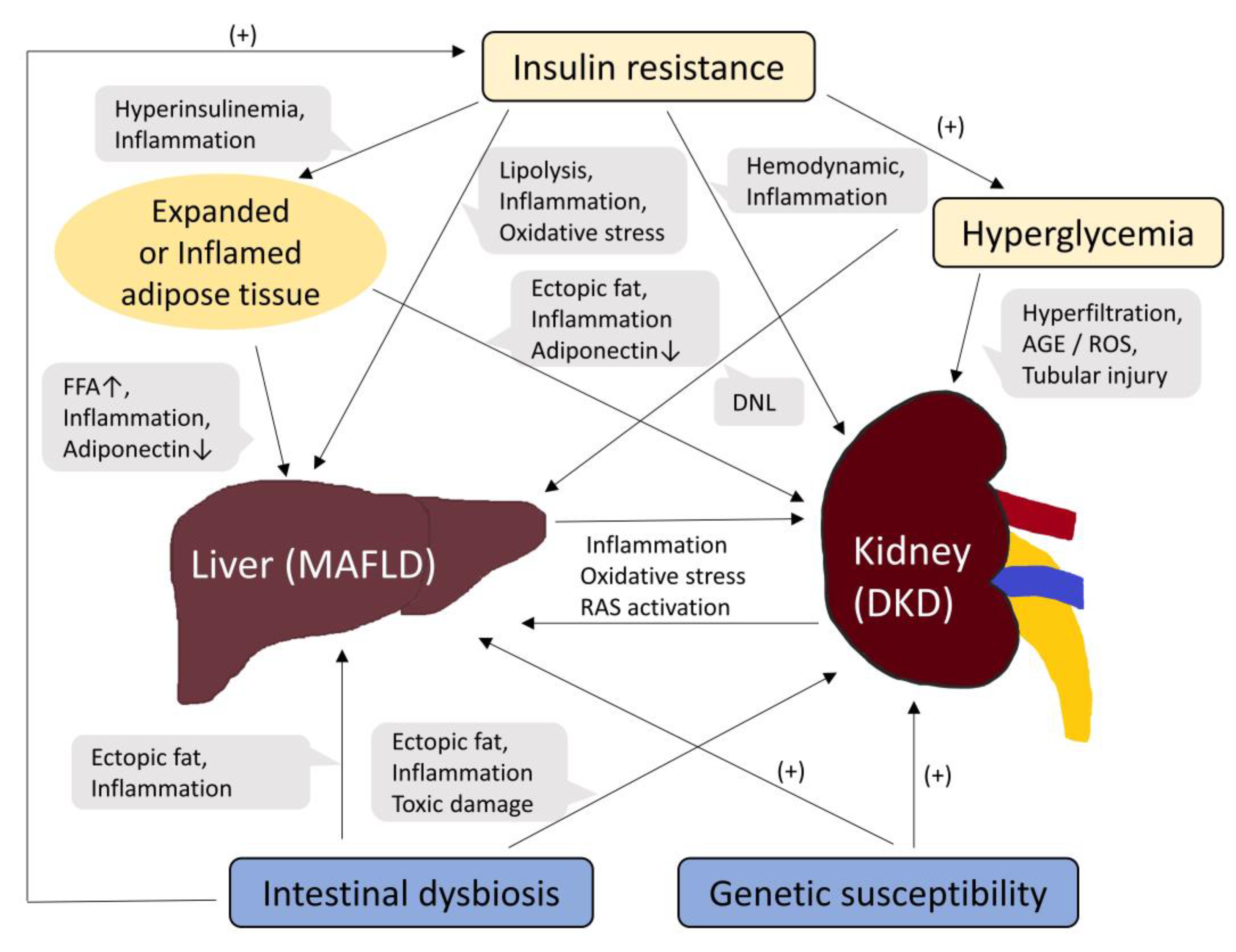 Preprints 76857 g001