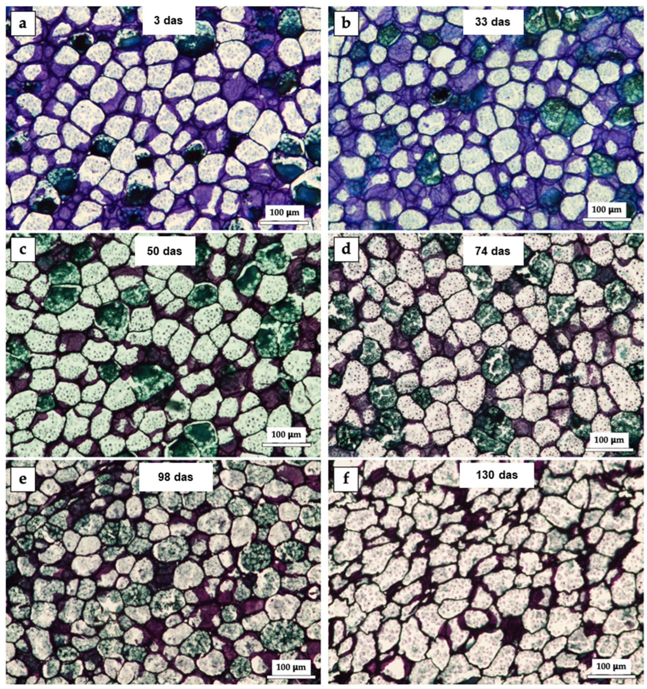 Preprints 149853 g001