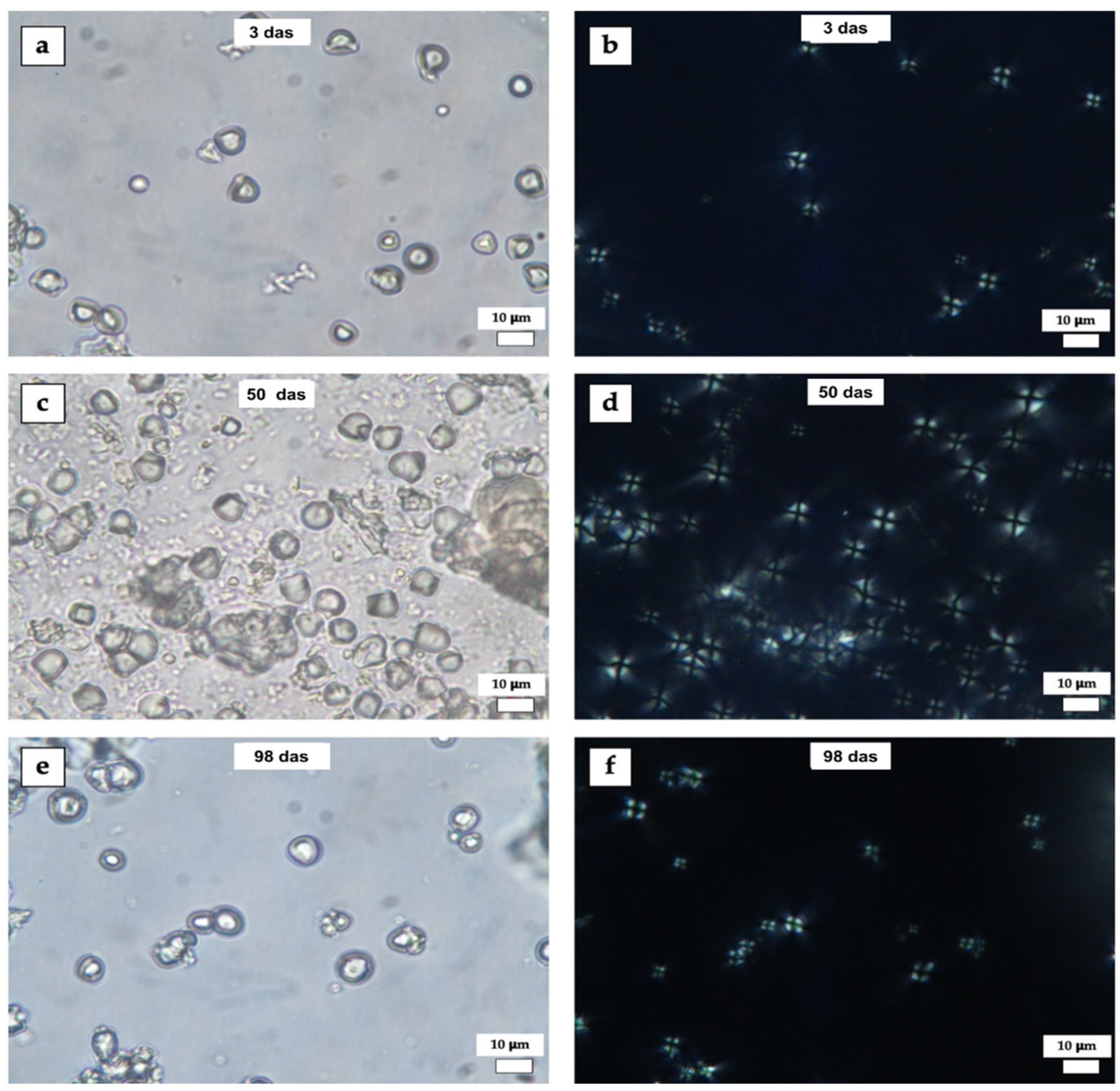 Preprints 149853 g006