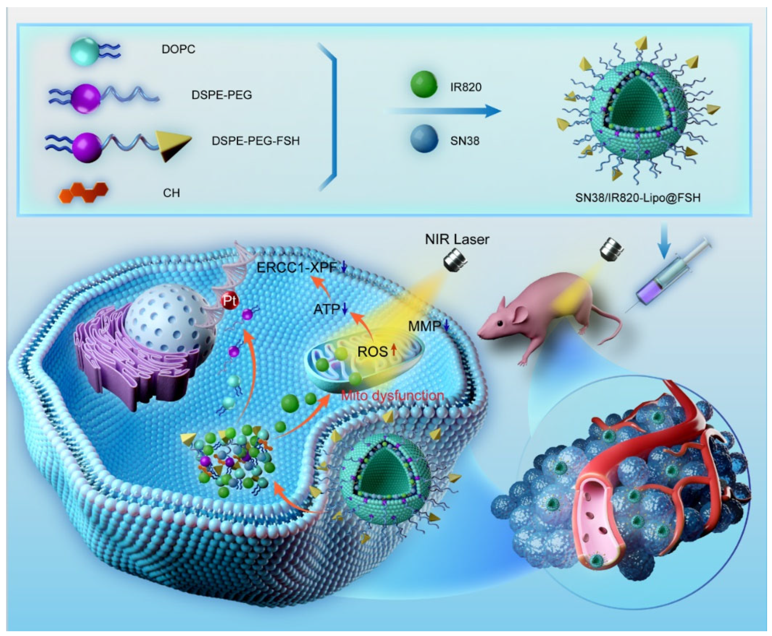 Preprints 98253 g001