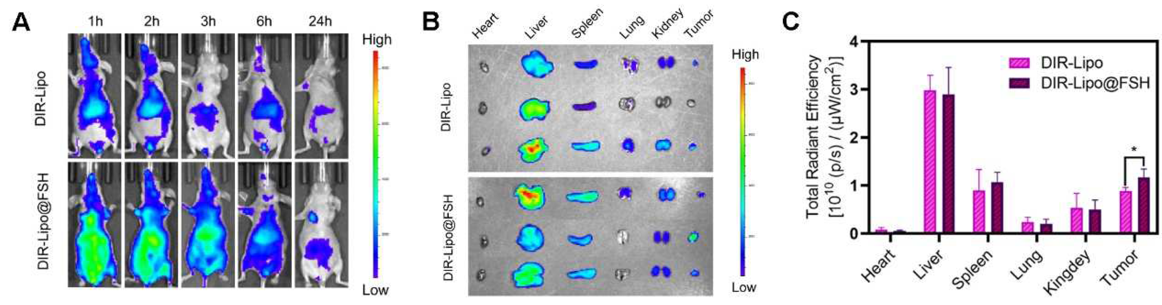 Preprints 98253 g006