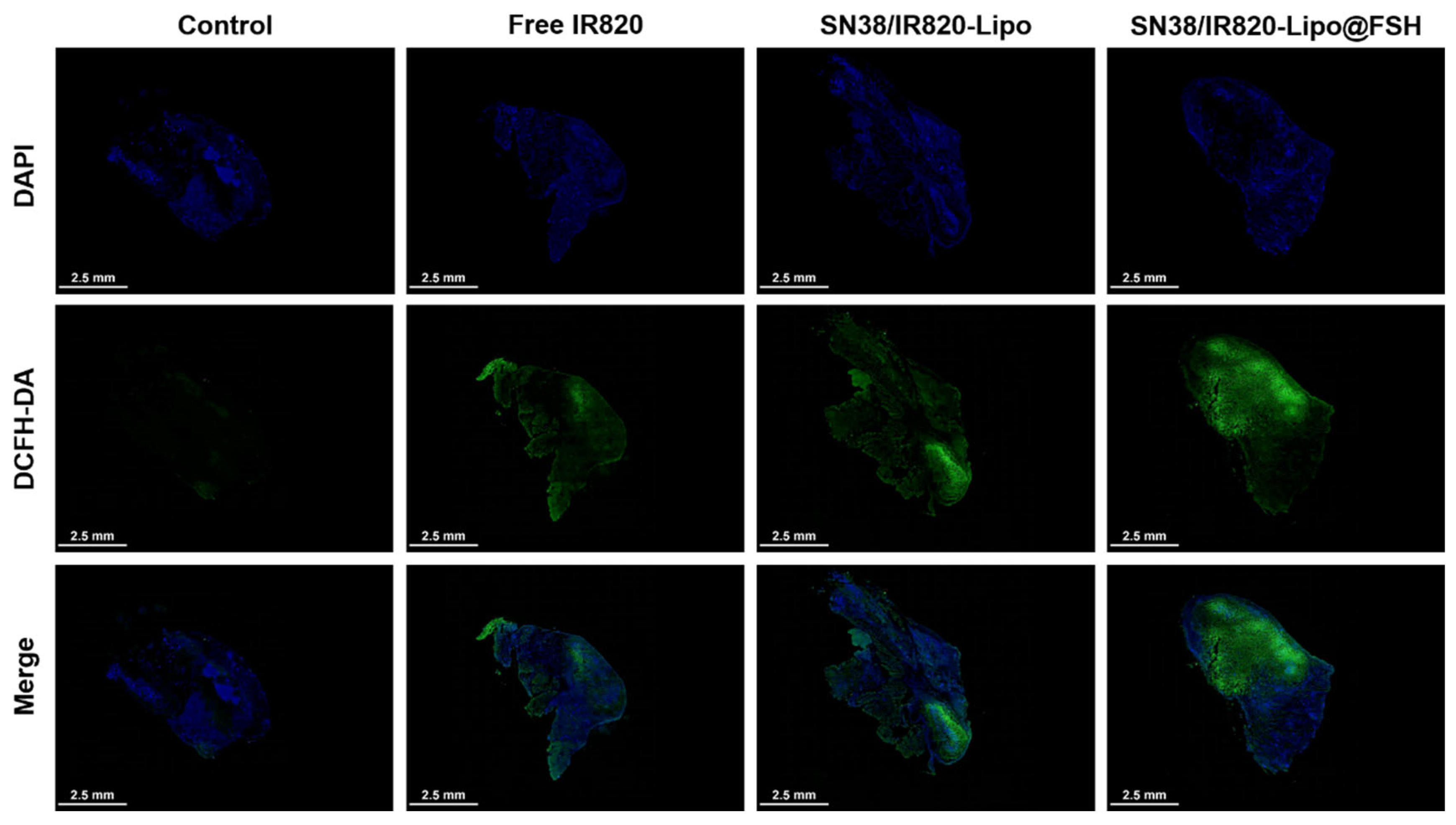 Preprints 98253 g007