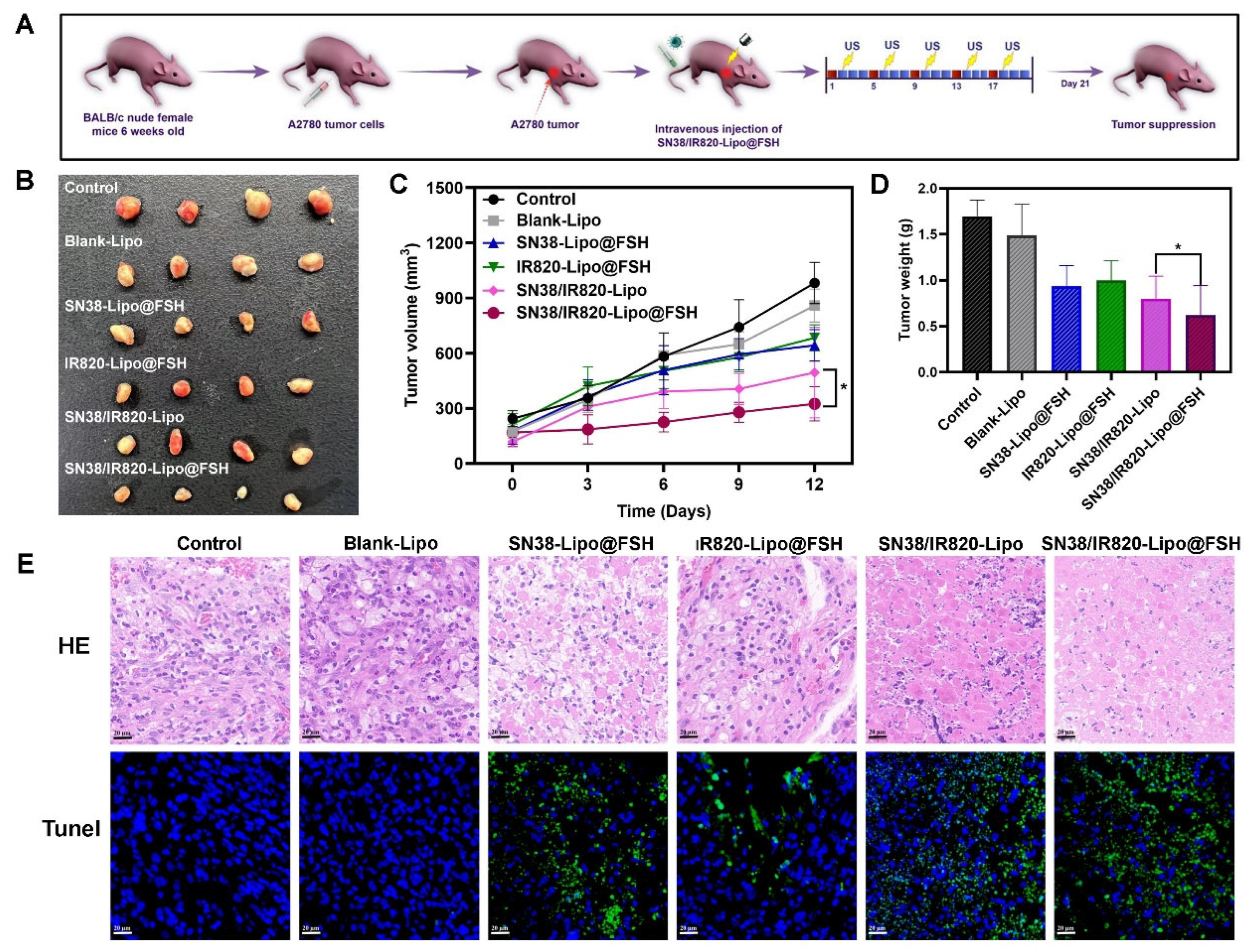 Preprints 98253 g008