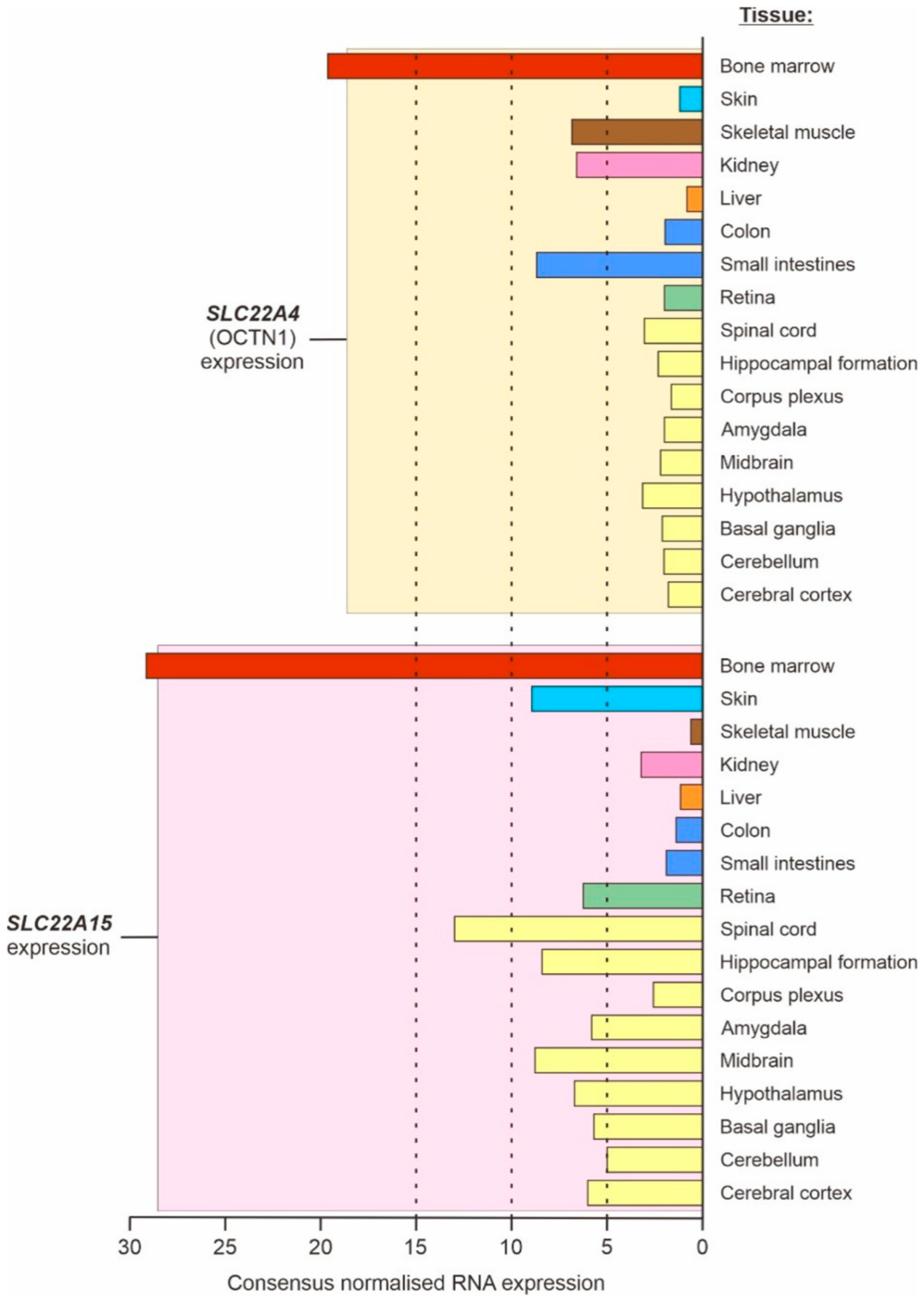 Preprints 222022 g003