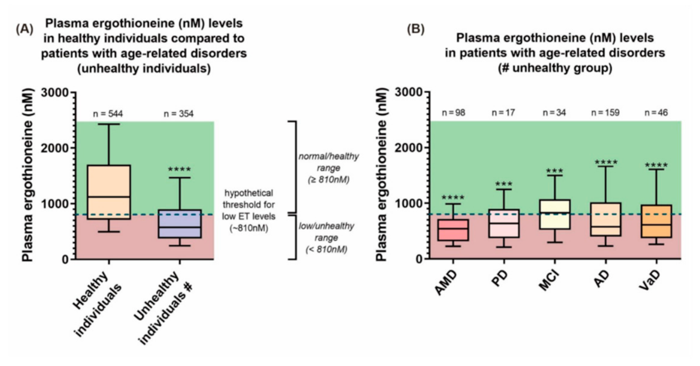 Preprints 222022 g004