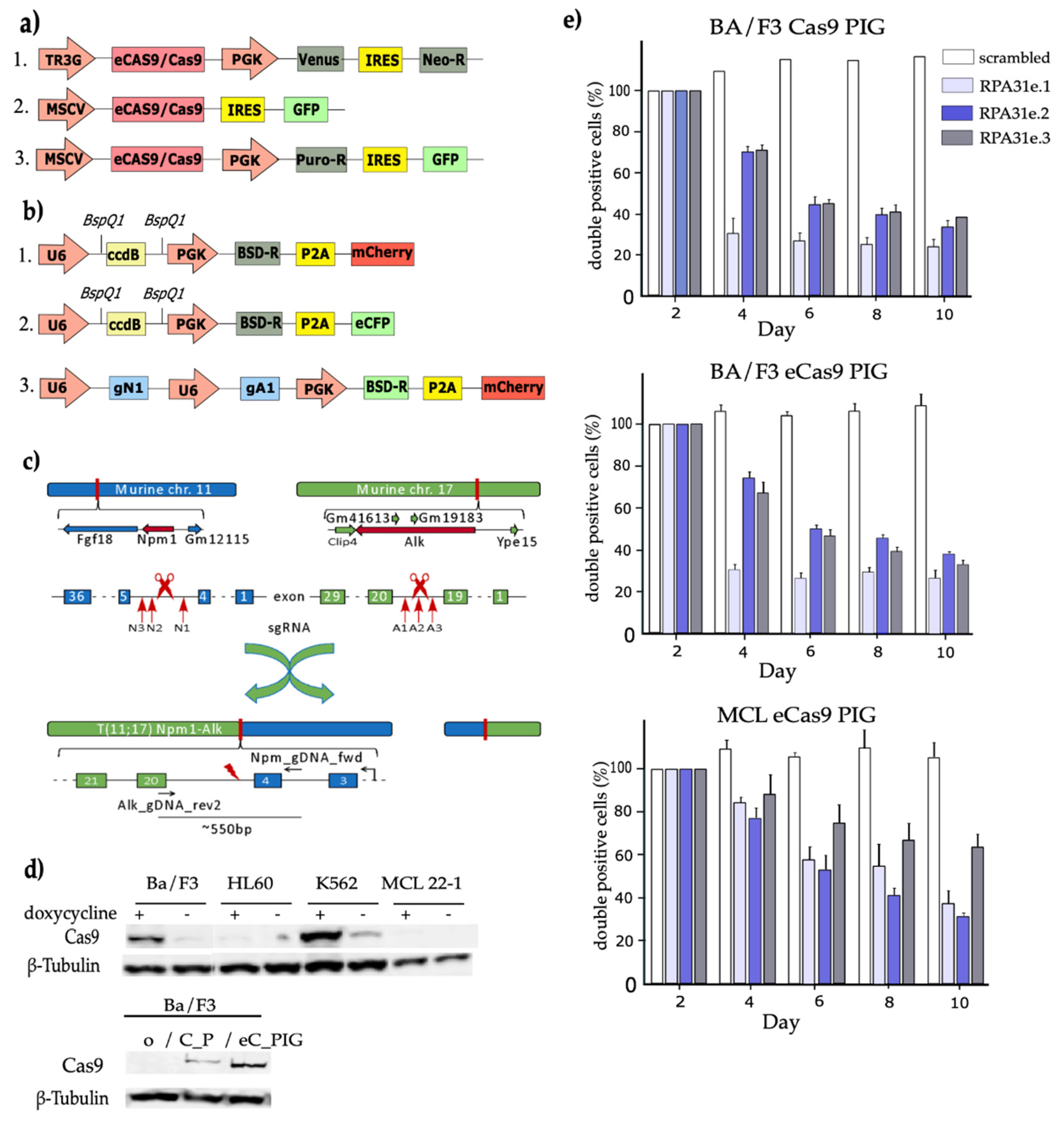 Preprints 157037 g001