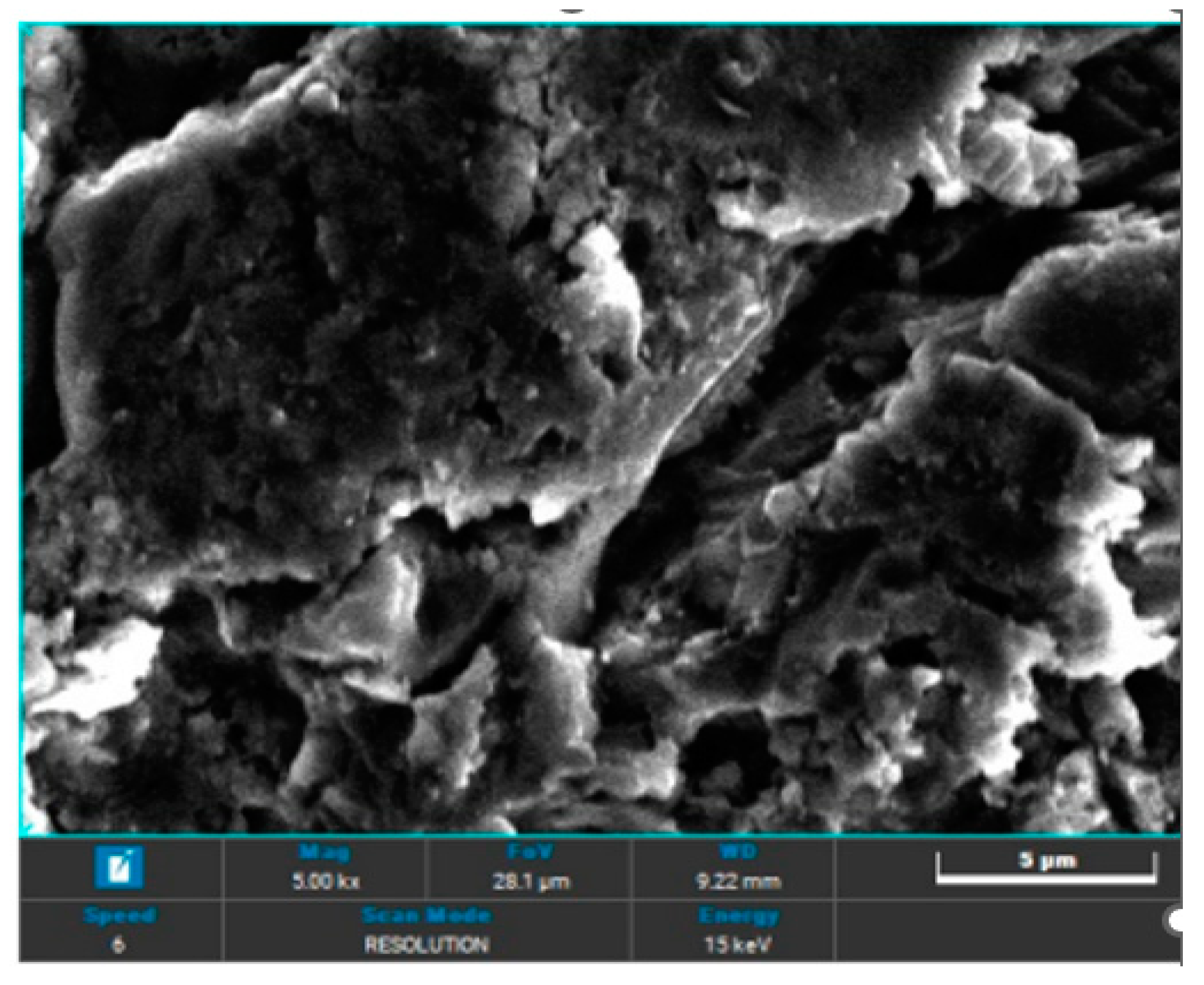 Preprints 113392 g007
