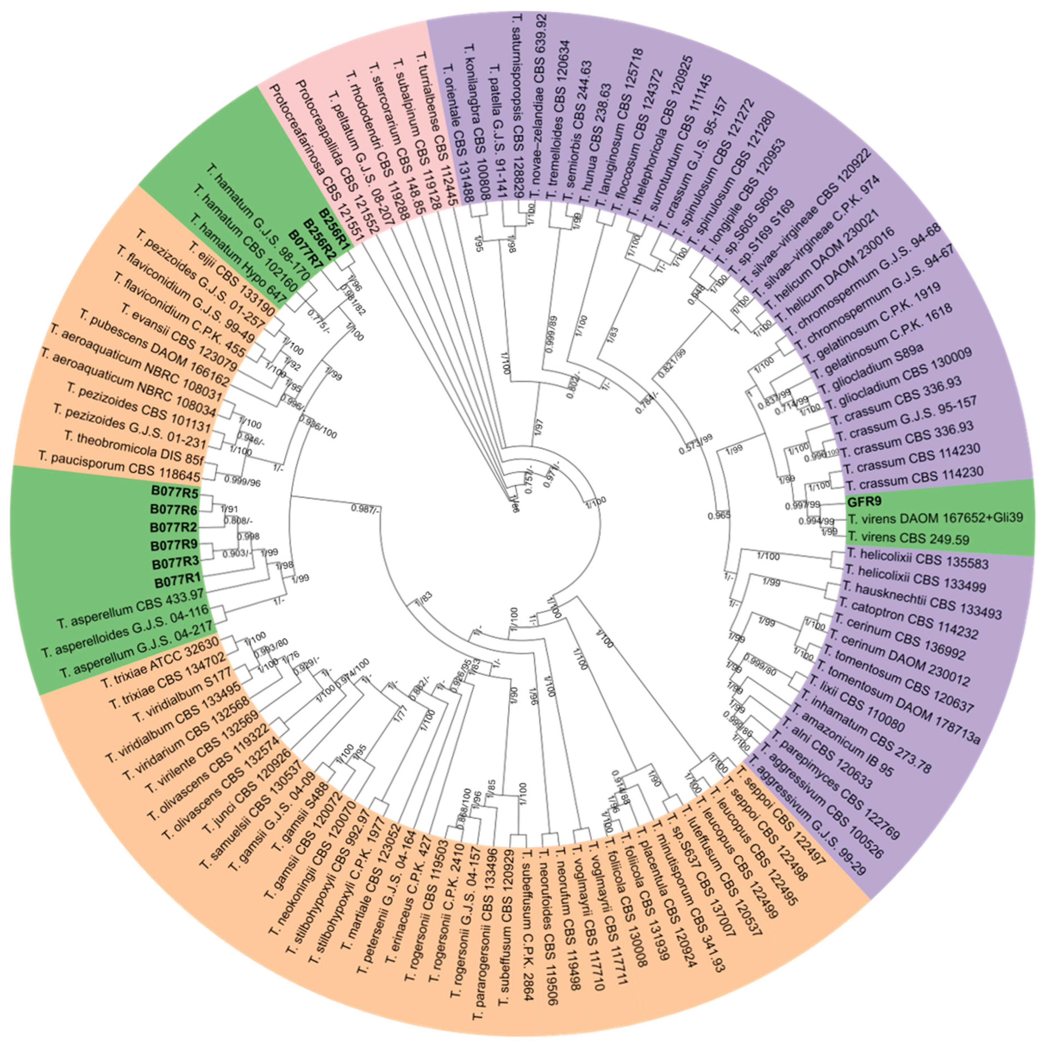 Preprints 218148 g002 Preprints 218148 g002
