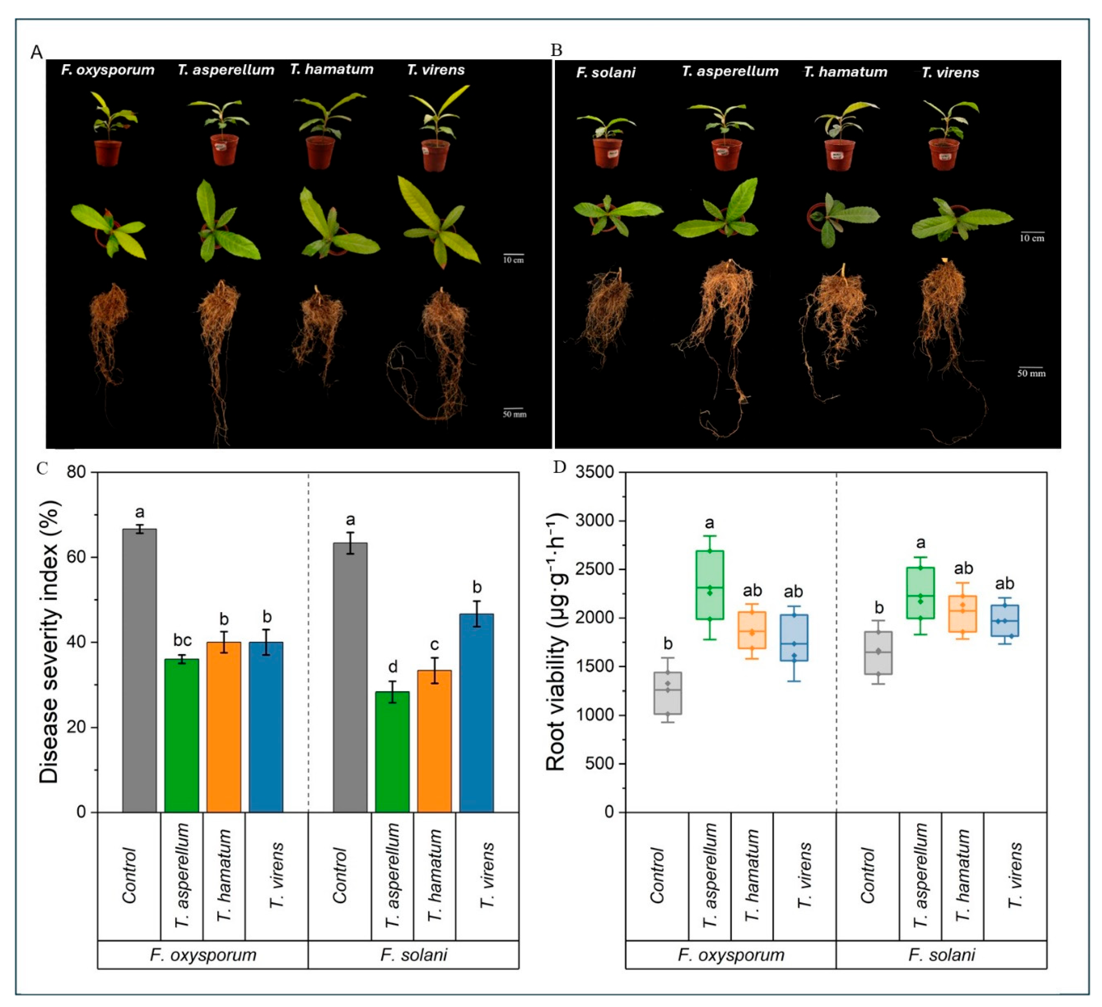 Preprints 218148 g004 Preprints 218148 g004