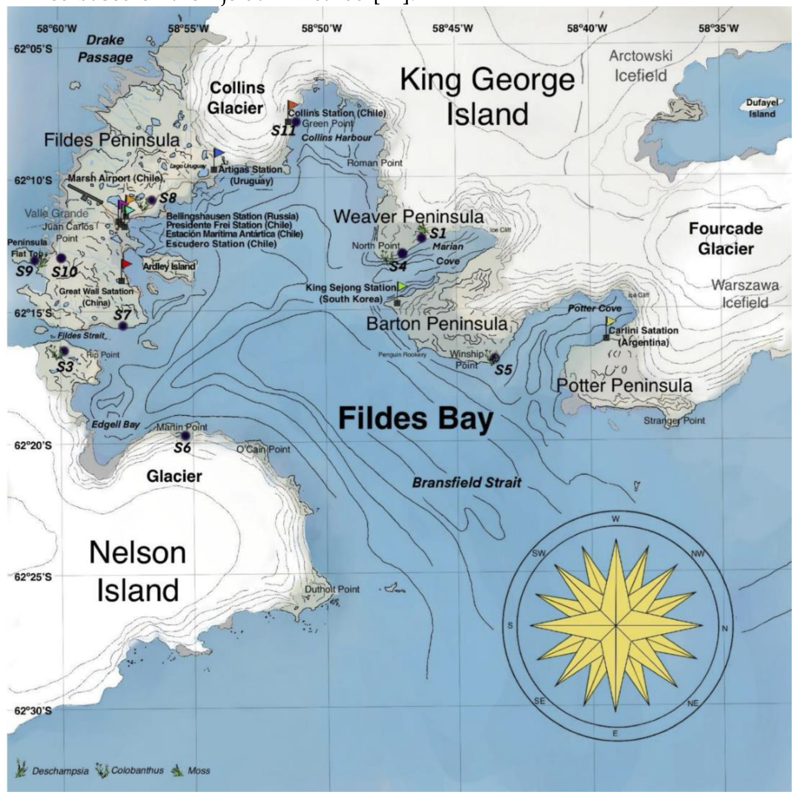 Preprints 147682 g003