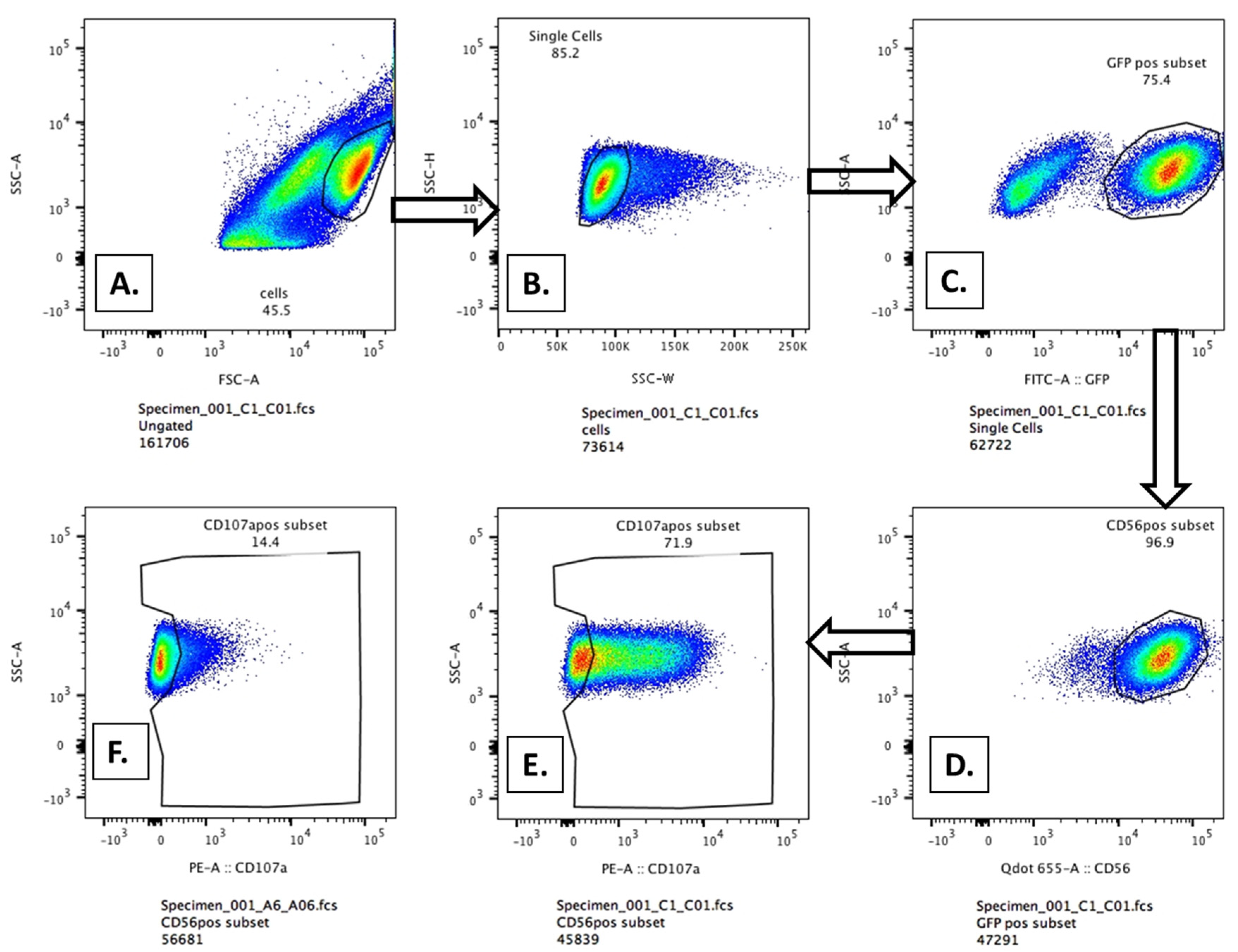 Preprints 74630 g0a1