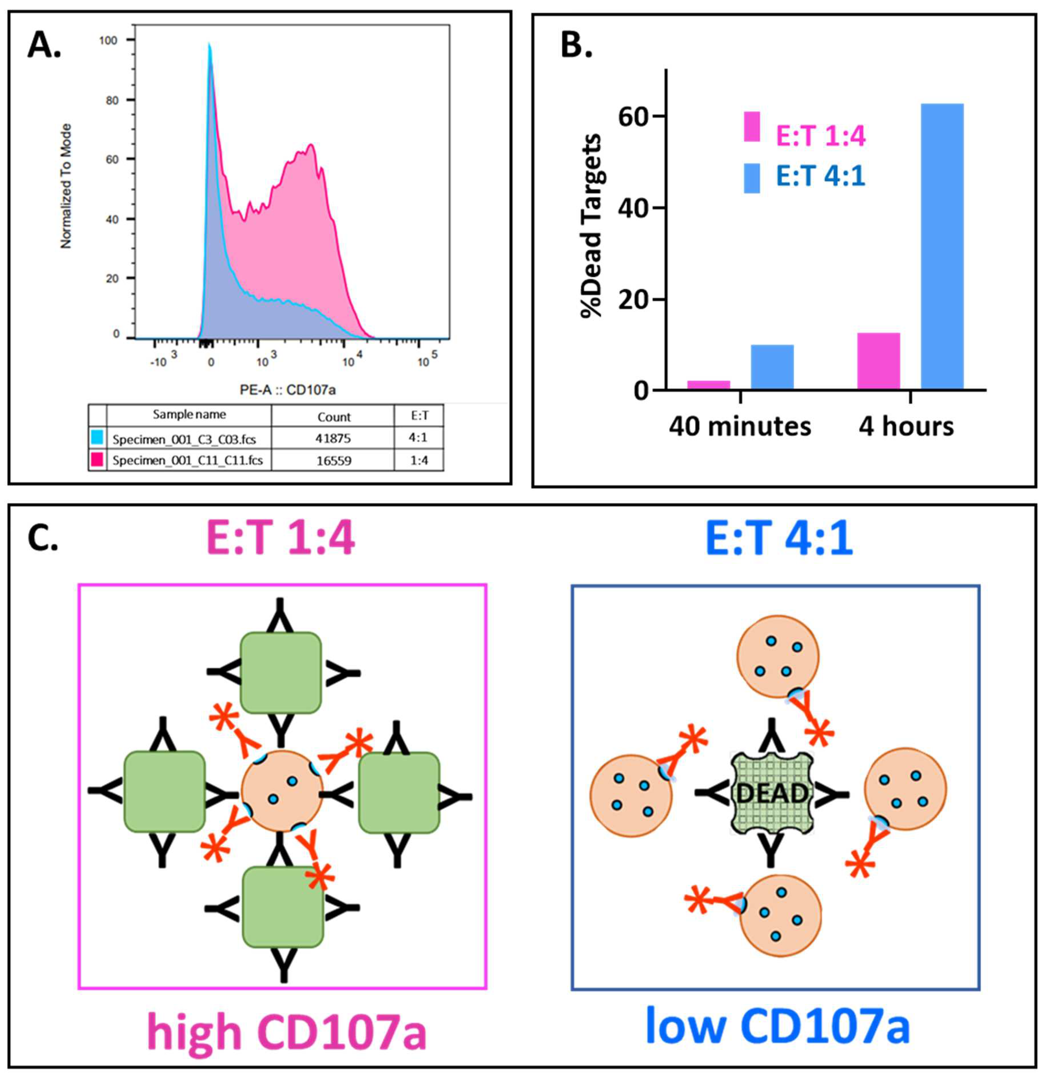 Preprints 74630 g0a4