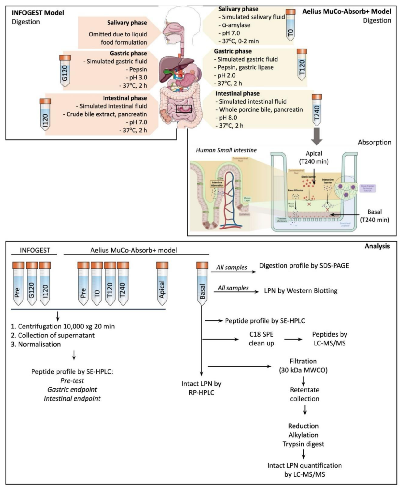 Preprints 217330 g001 Preprints 217330 g001