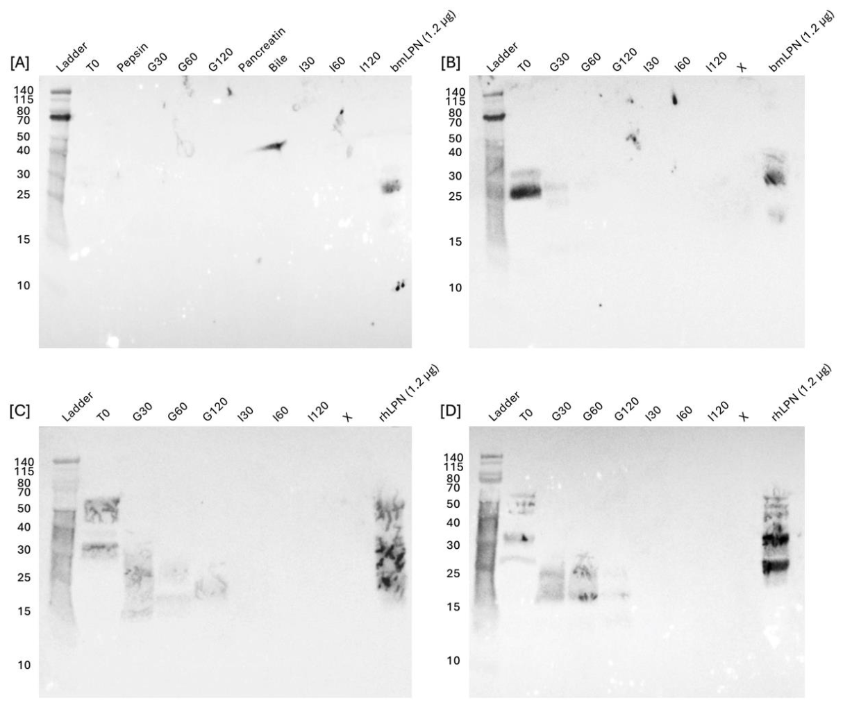 Preprints 217330 g002 Preprints 217330 g002