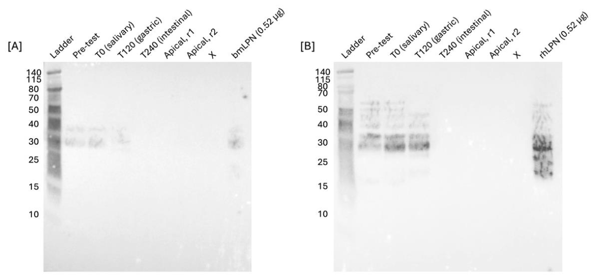Preprints 217330 g003 Preprints 217330 g003
