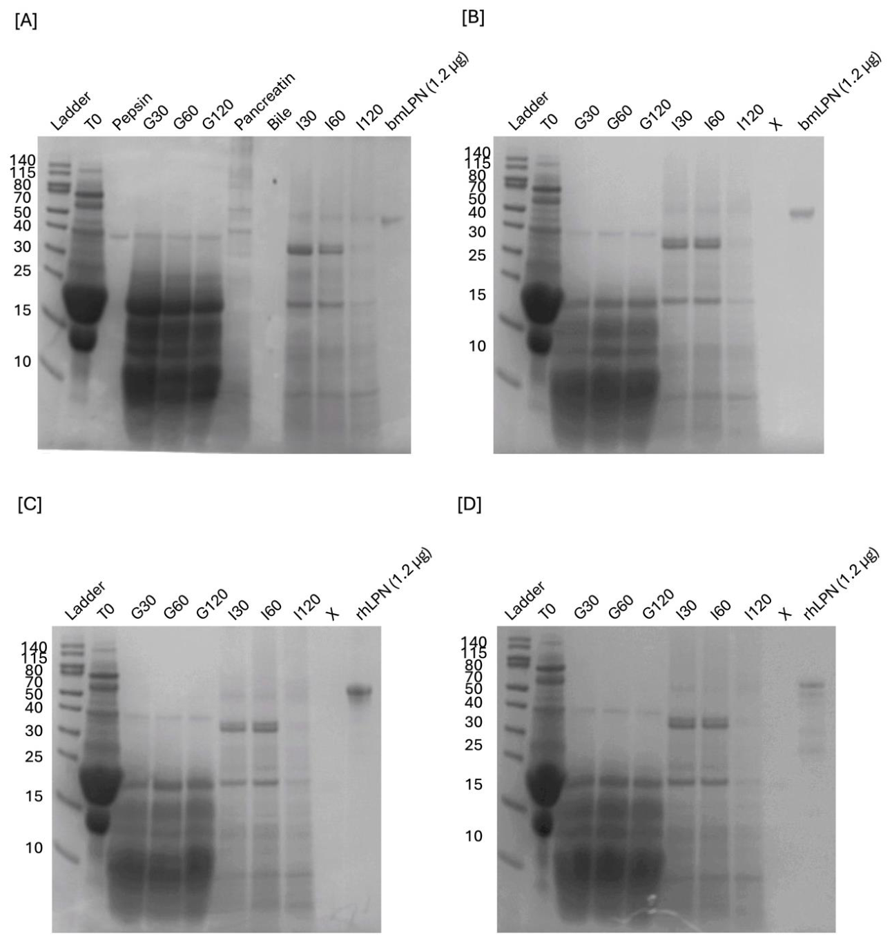 Preprints 217330 g0a1 Preprints 217330 g0a1