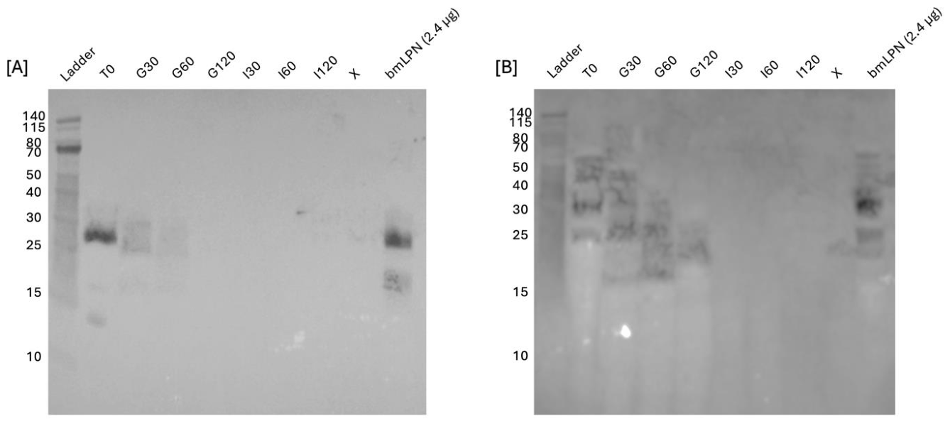 Preprints 217330 g0a2 Preprints 217330 g0a2