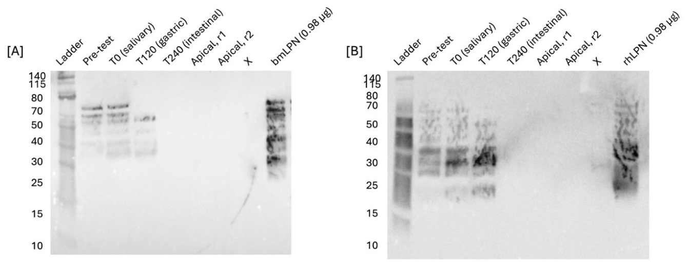 Preprints 217330 g0a5 Preprints 217330 g0a5