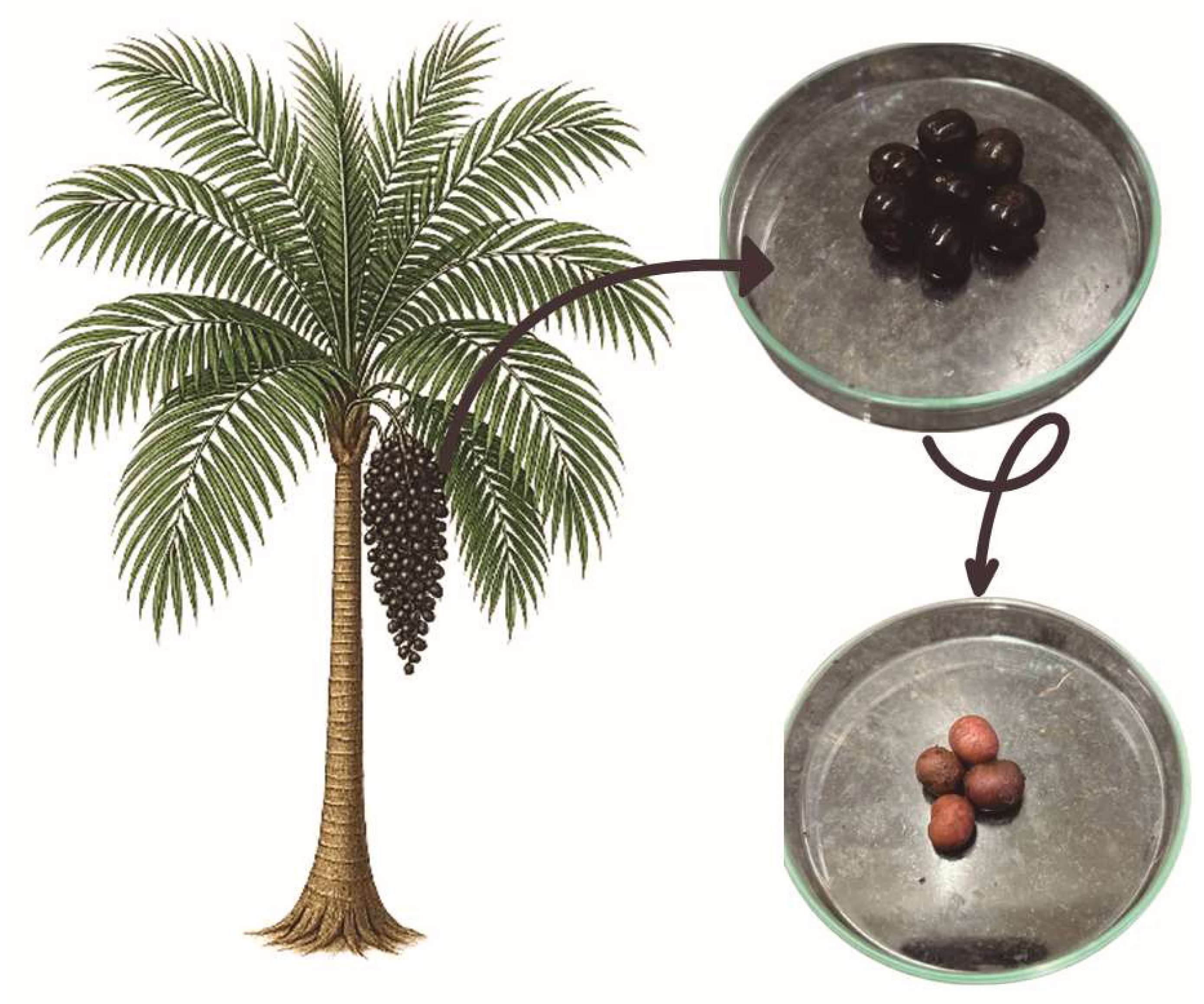 Preprints 161126 g001