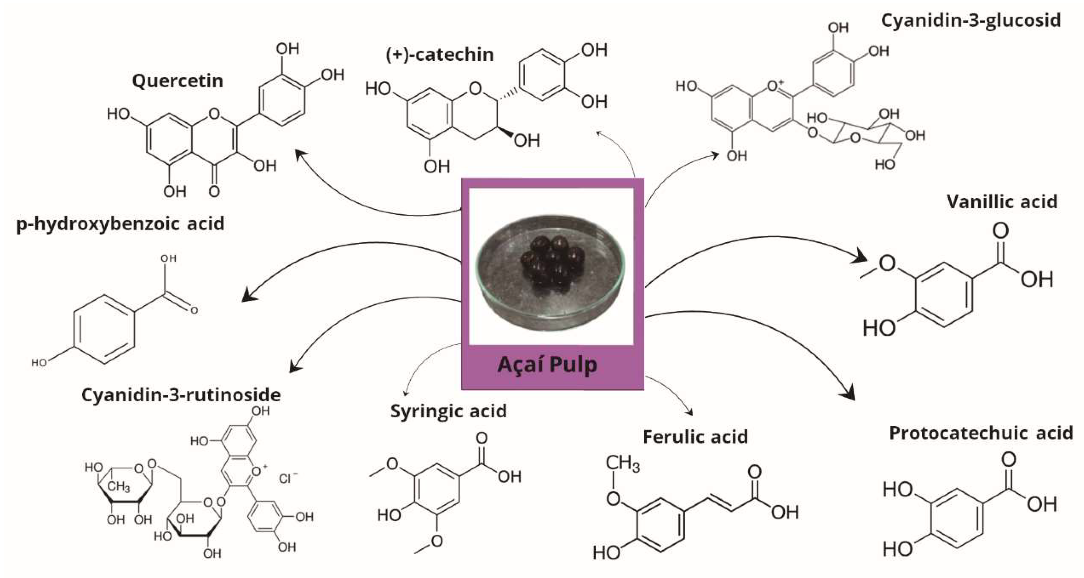 Preprints 161126 g002