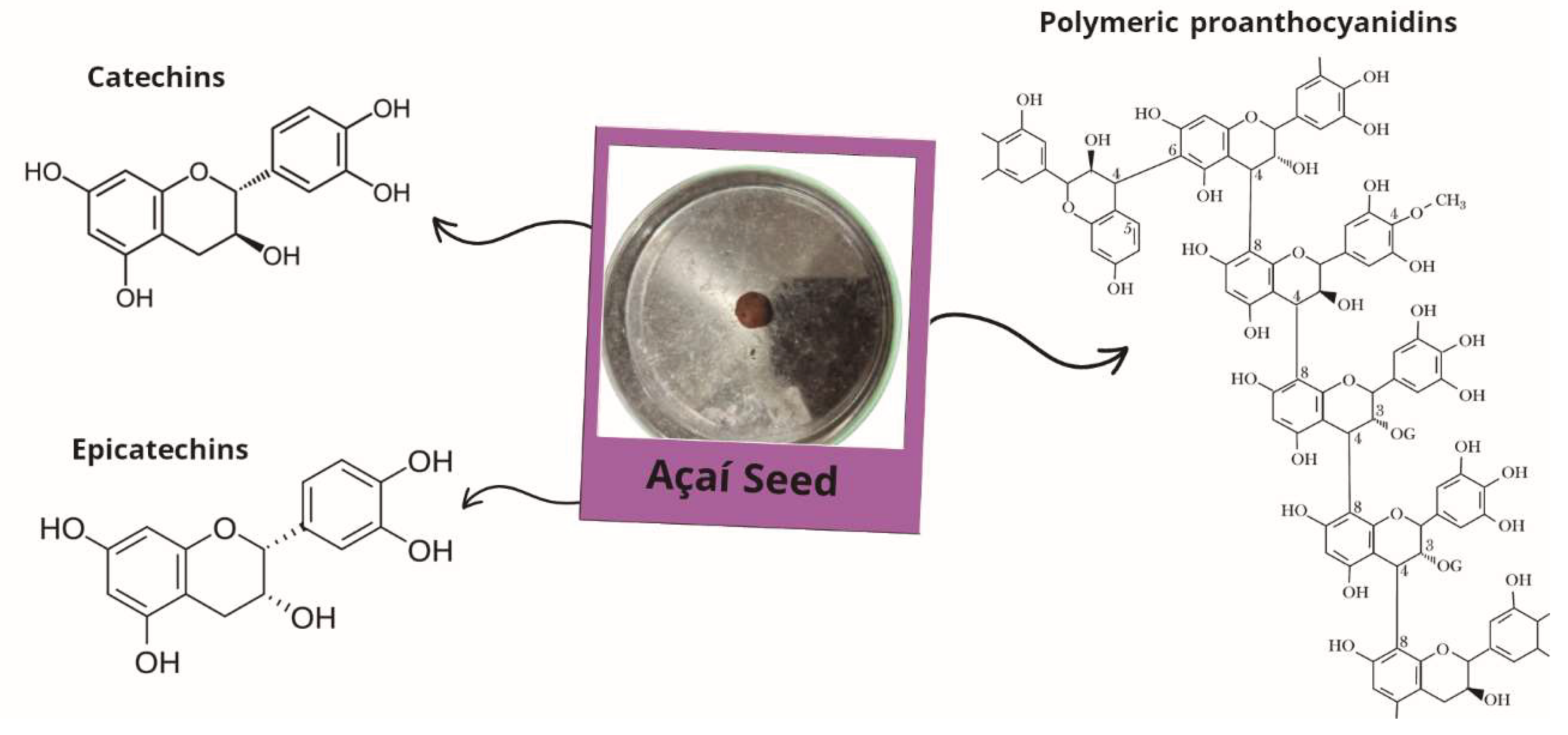 Preprints 161126 g003